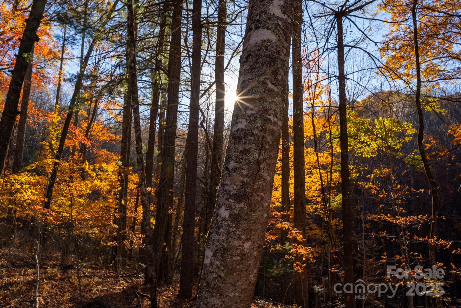 Lot 342 Severy Lane #342-A - Photo 11