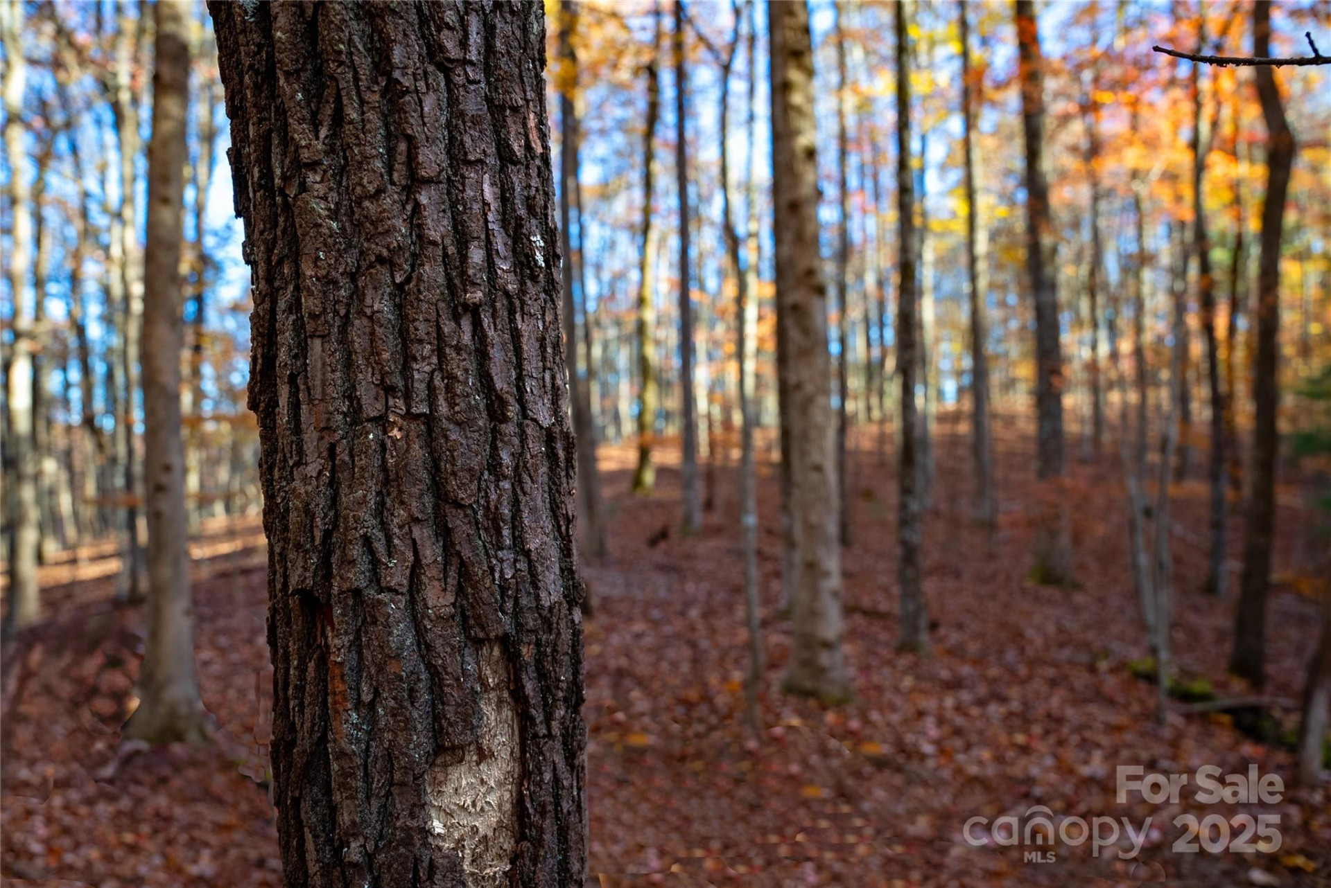 Lot 342 Severy Lane #342-A - Photo 13