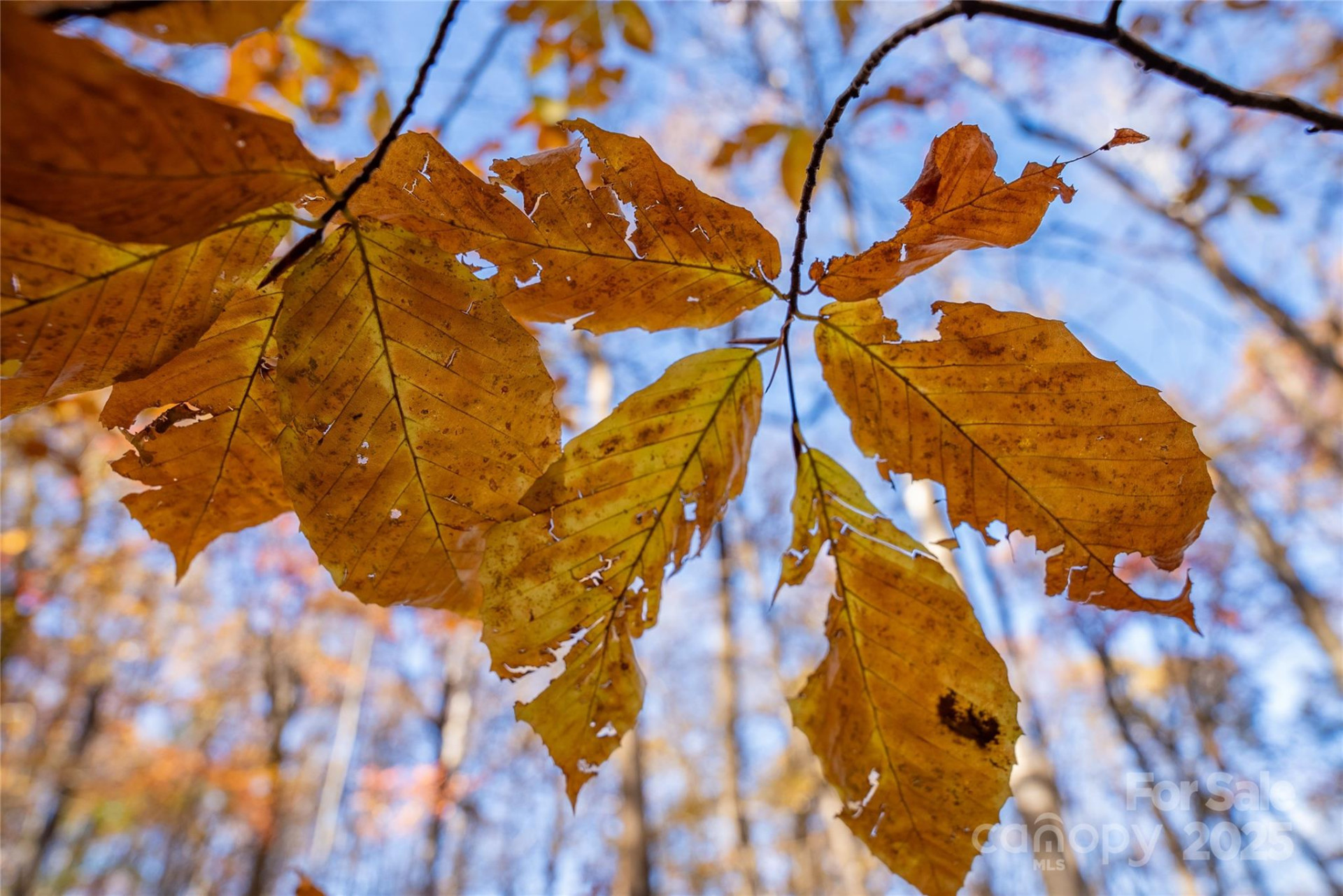 Lot 342 Severy Lane #342-A - Photo 14