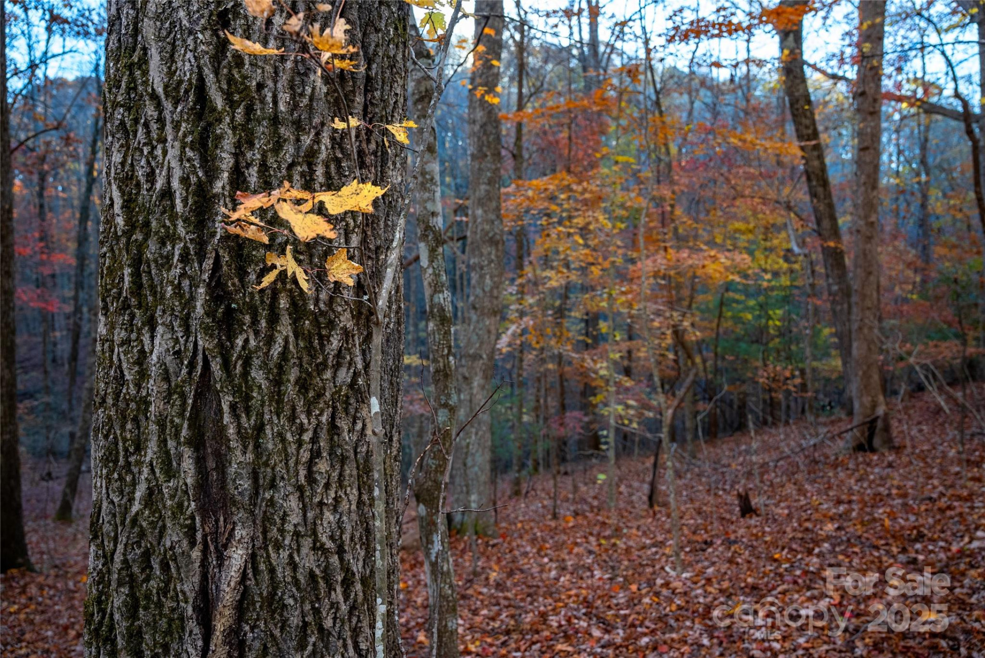 Lot 342 Severy Lane #342-A - Photo 15