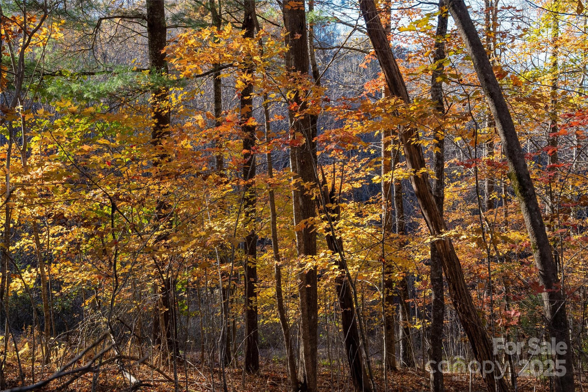 Lot 342 Severy Lane #342-A - Photo 16