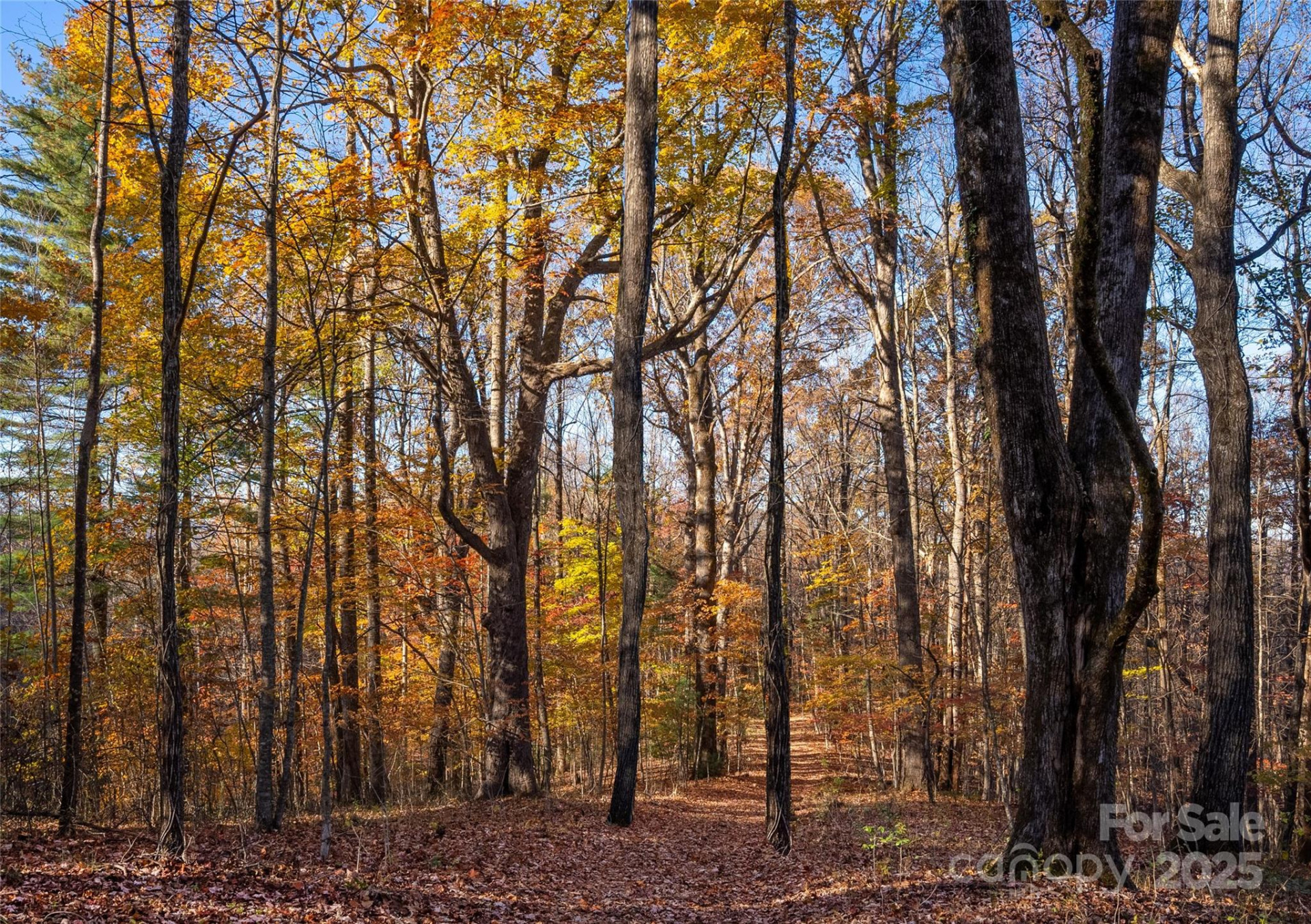 Lot 342 Severy Lane #342-A - Photo 4