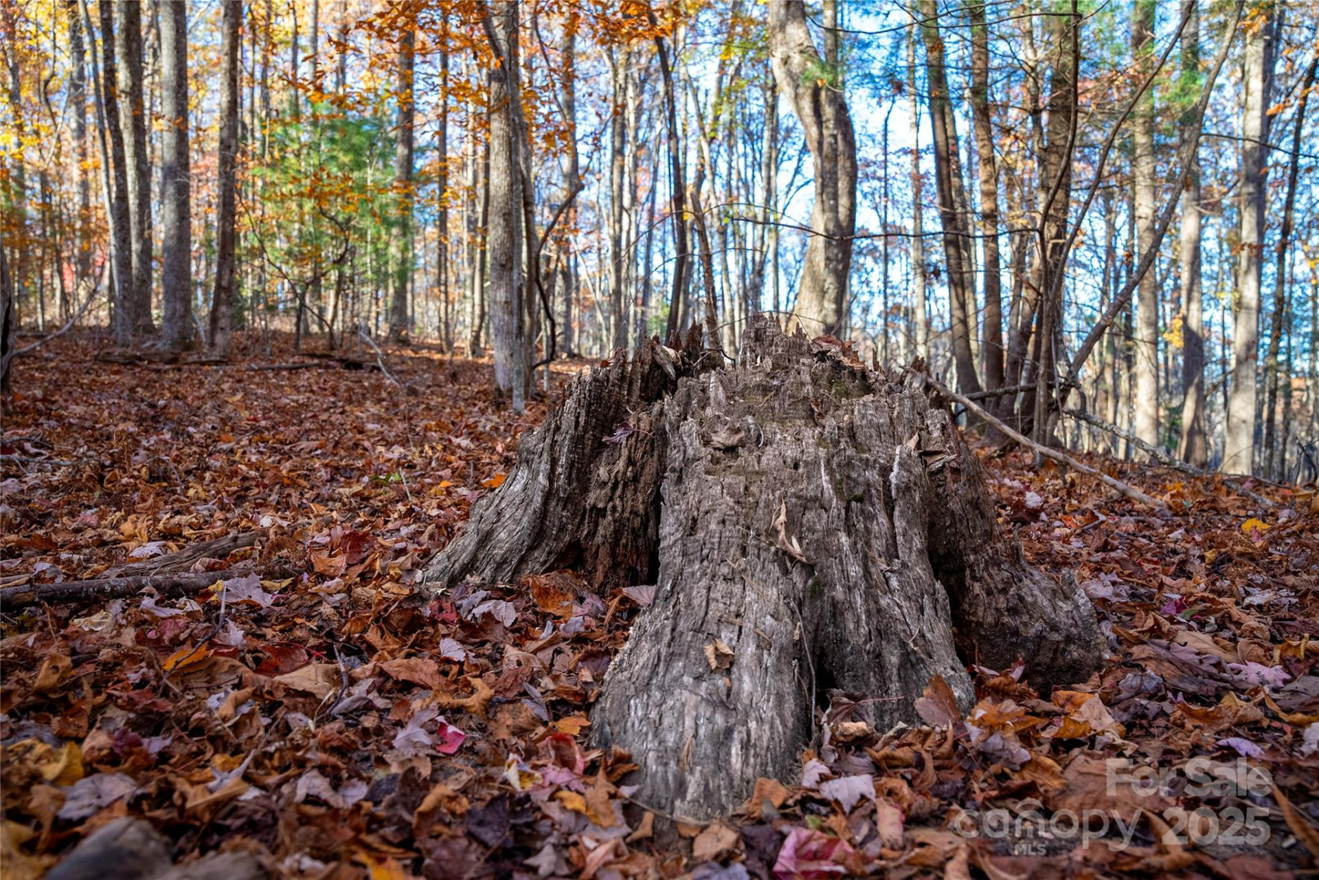 Lot 342 Severy Lane #342-A - Photo 7