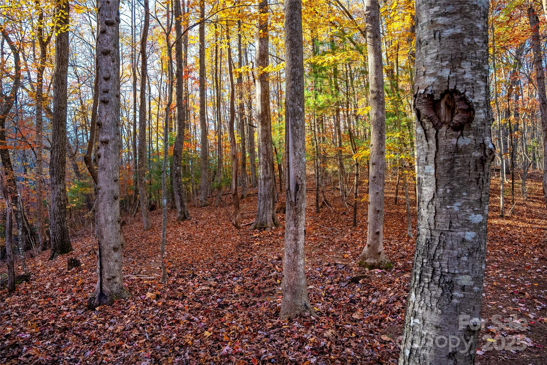 Lot 342 Severy Lane #342-A - Photo 9