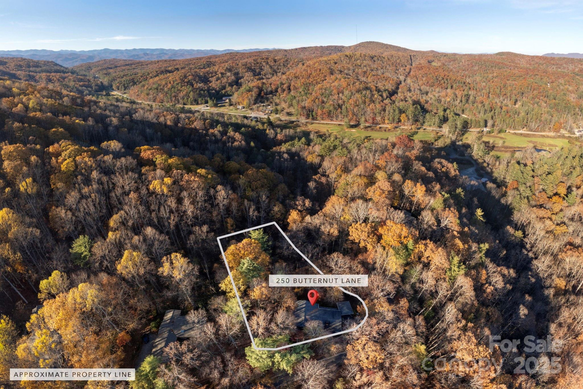 250 Butternut Lane - Photo 38