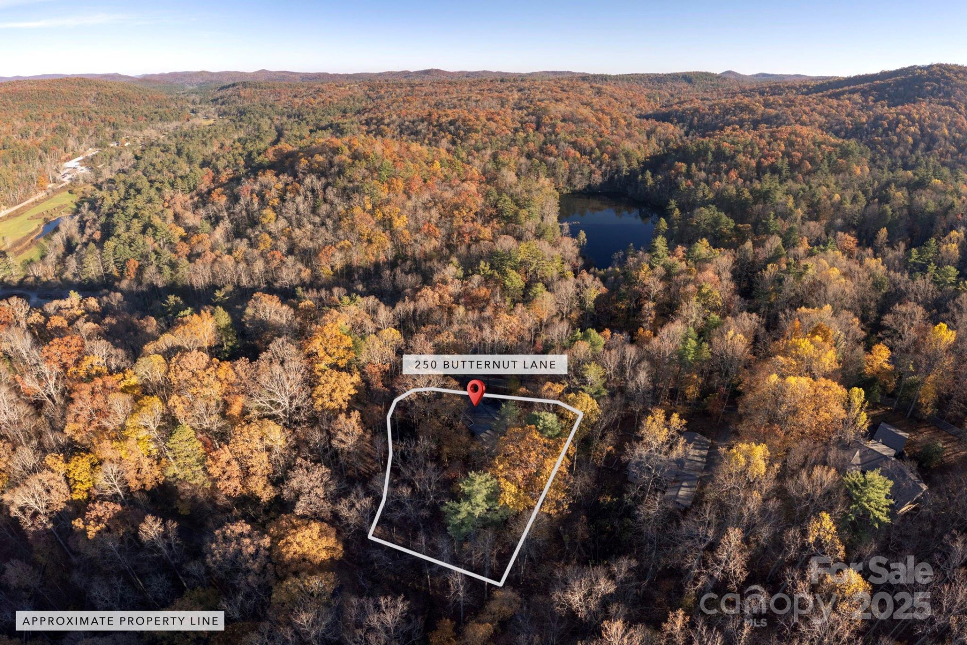 250 Butternut Lane - Photo 39