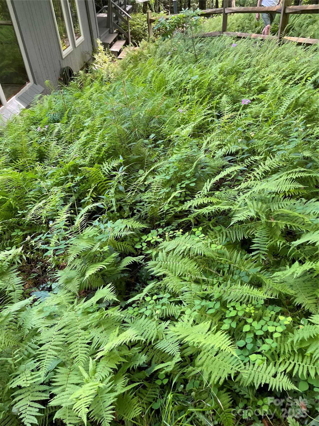 250 Butternut Lane - Photo 40