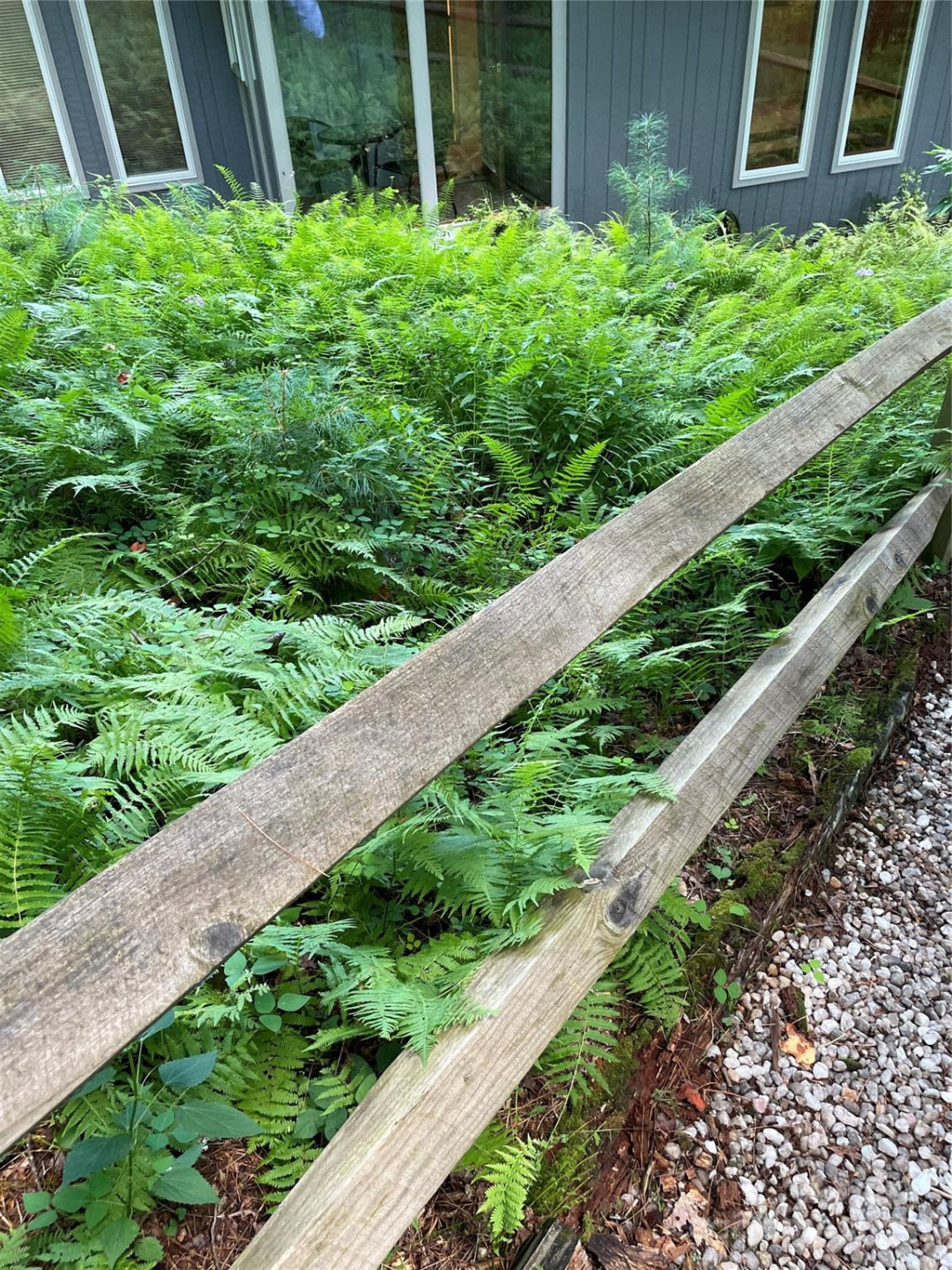 250 Butternut Lane - Photo 42