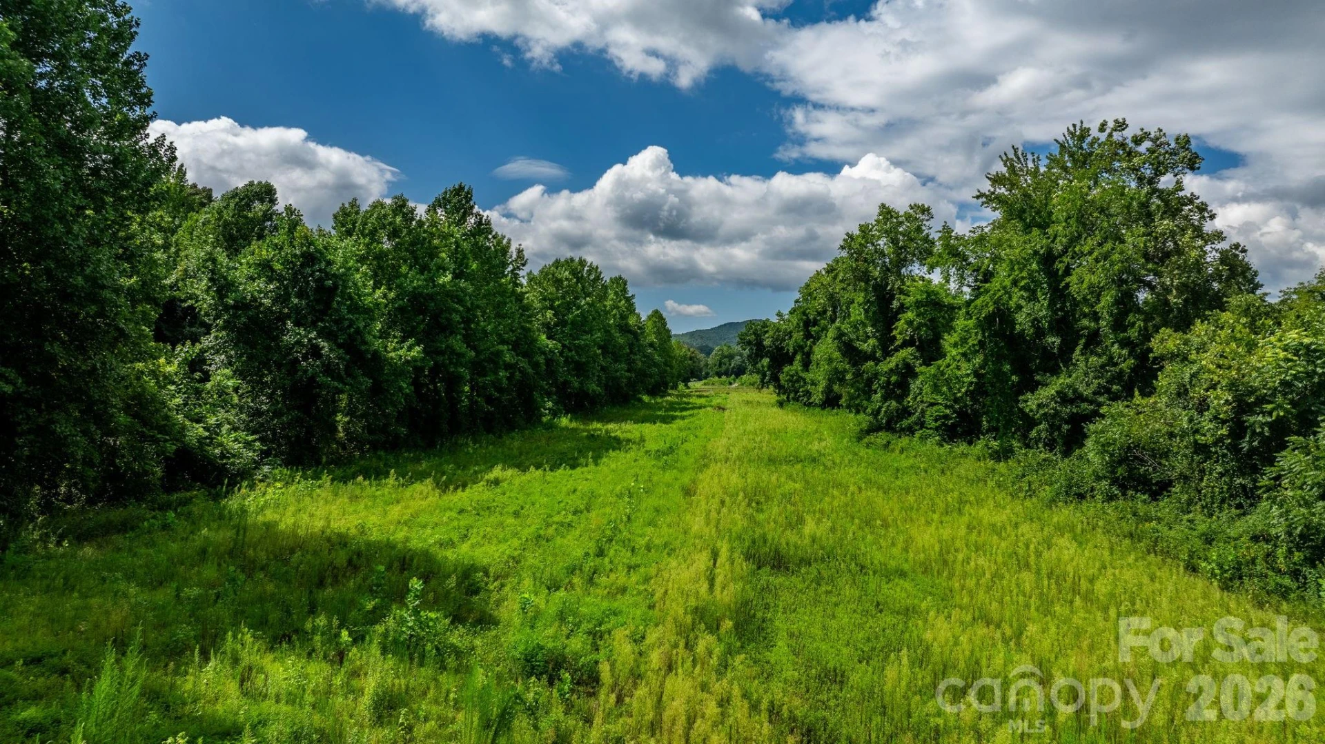 000 Old Linville Road - Photo 12