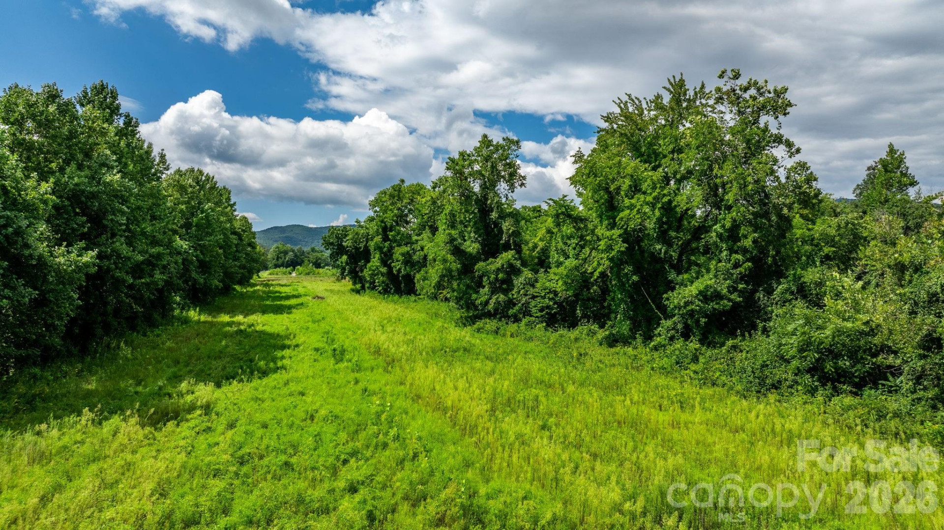 000 Old Linville Road - Photo 13