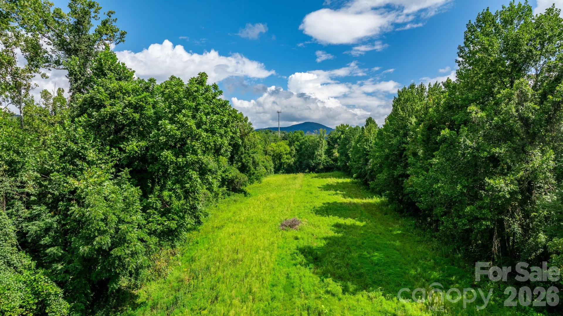 000 Old Linville Road - Photo 3