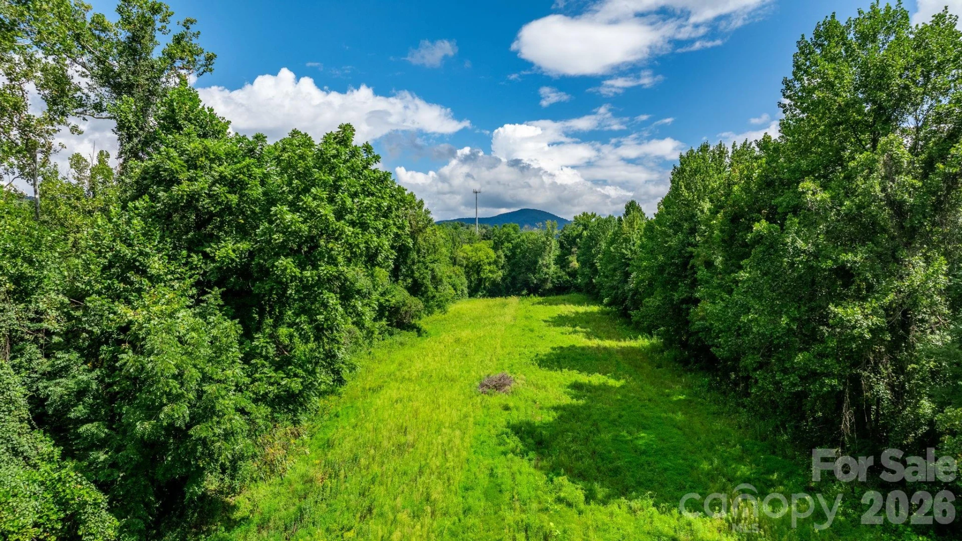 000 Old Linville Road - Photo 3