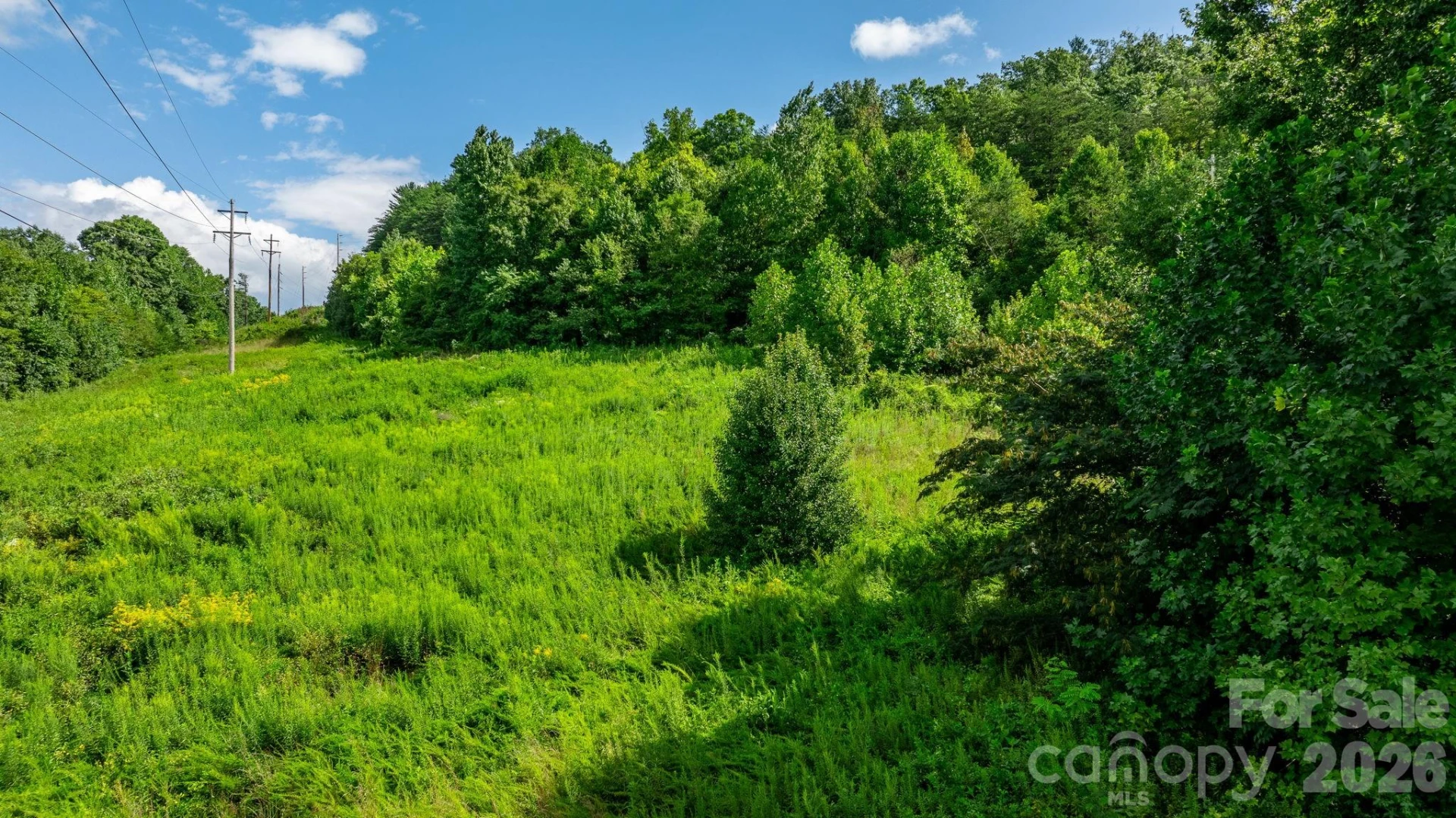 000 Old Linville Road - Photo 4
