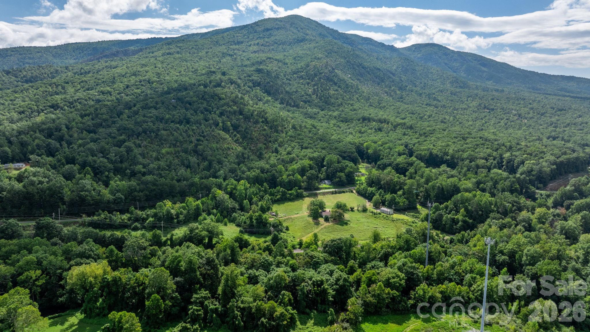 000 Old Linville Road - Photo 9