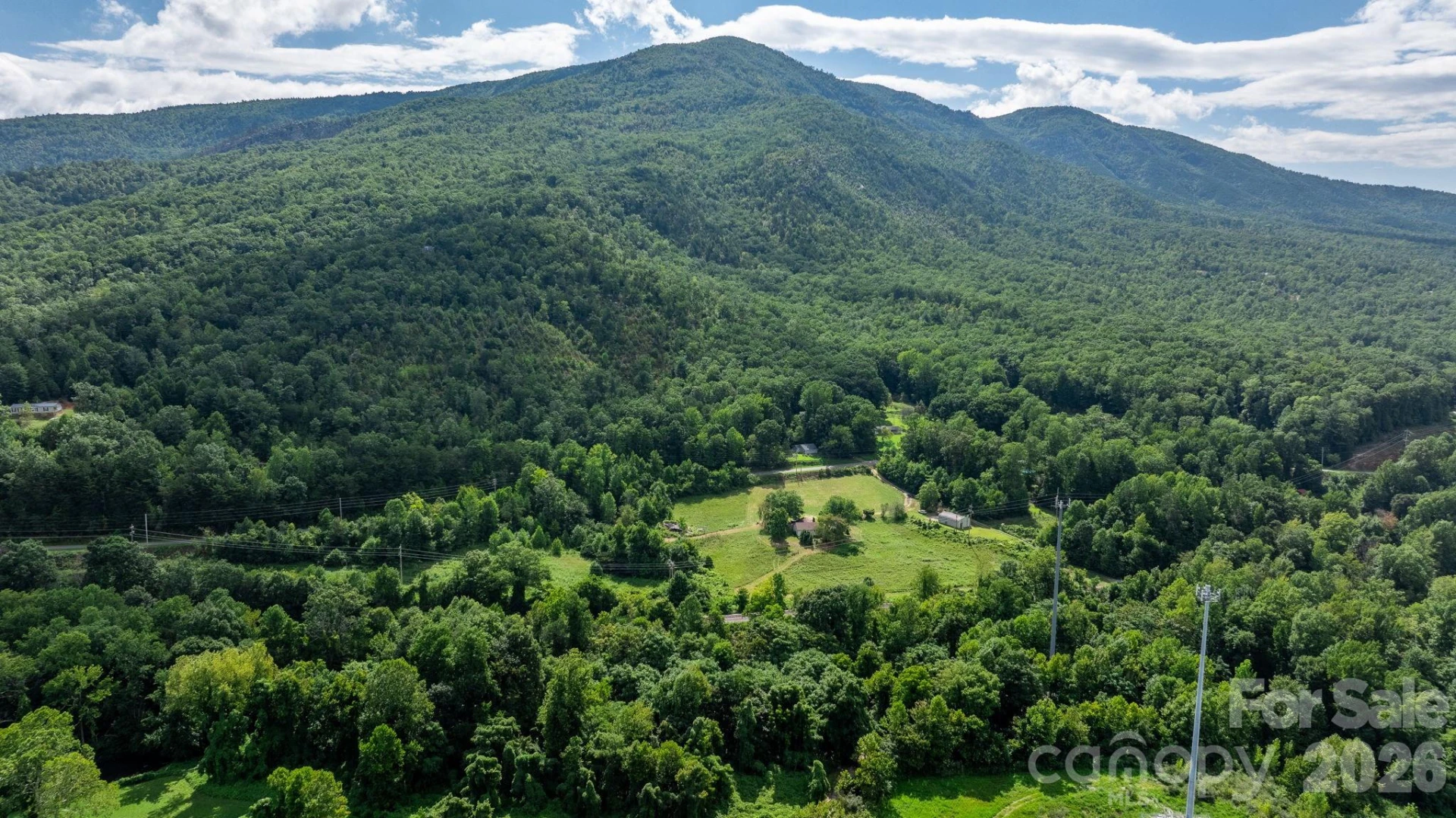 000 Old Linville Road - Photo 9