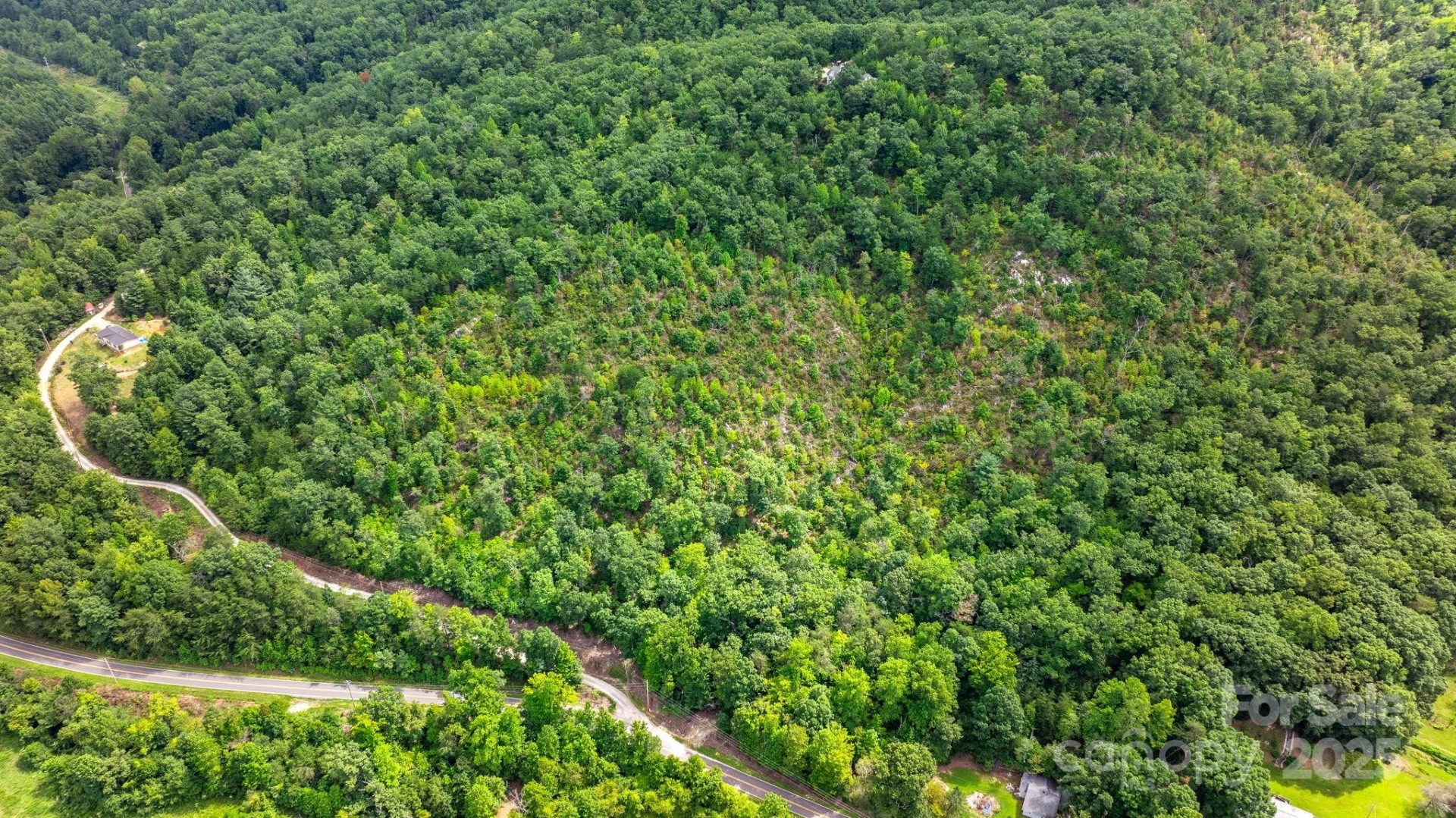 TBD Old Linville Road - Photo 21