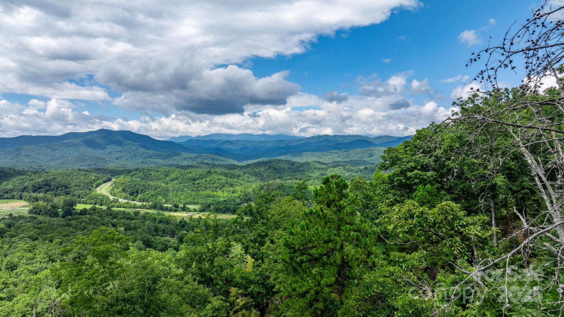 TBD Old Linville Road - Photo 4