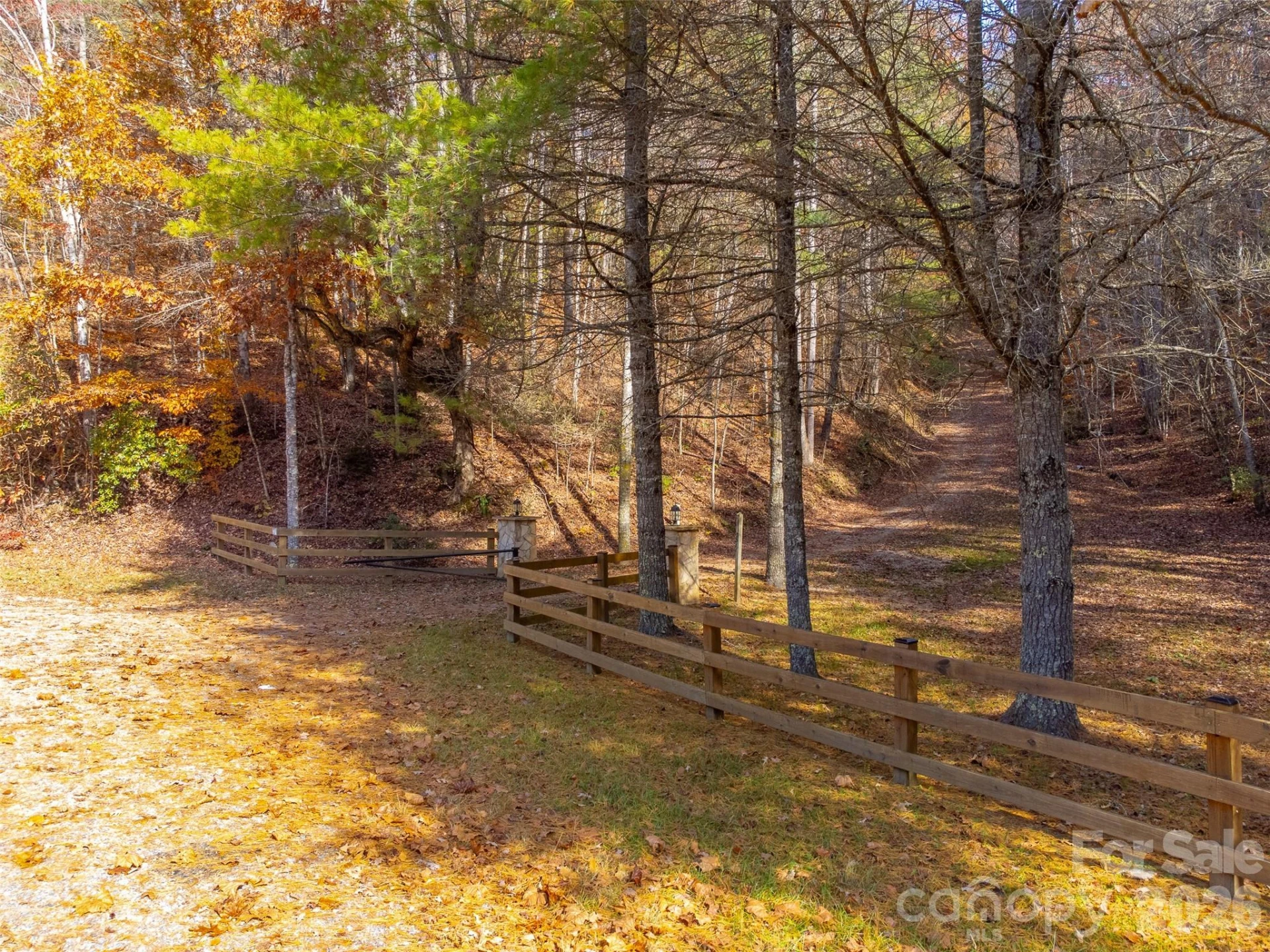 2311 Alarka Road - Photo 89