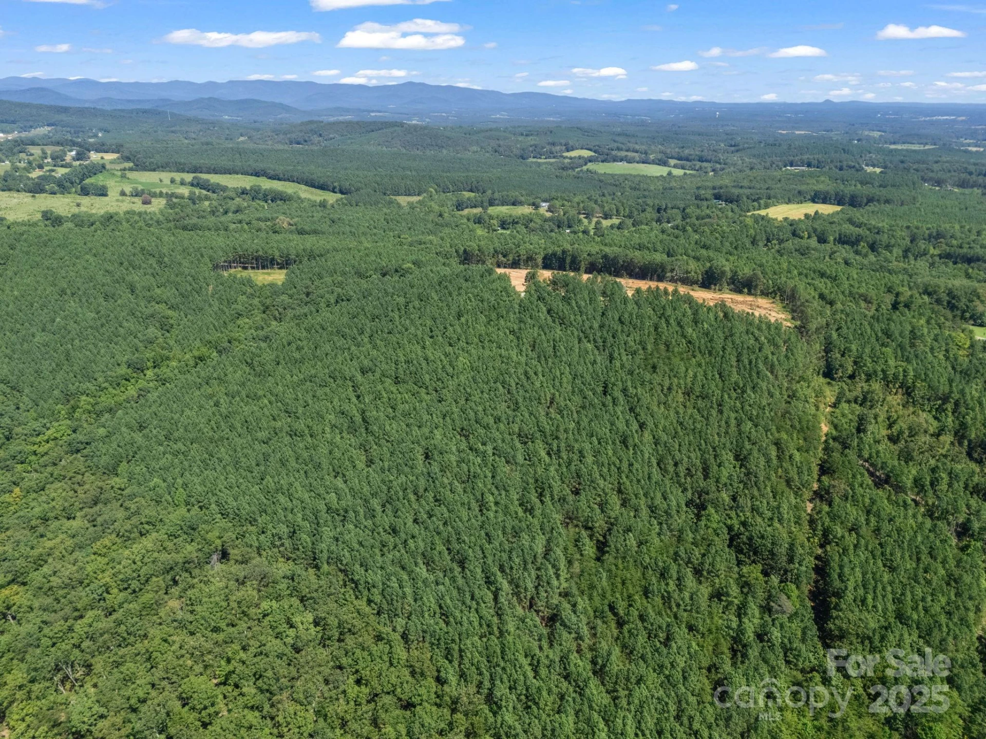 0 Moore Mountain Lane #6 - Photo 12