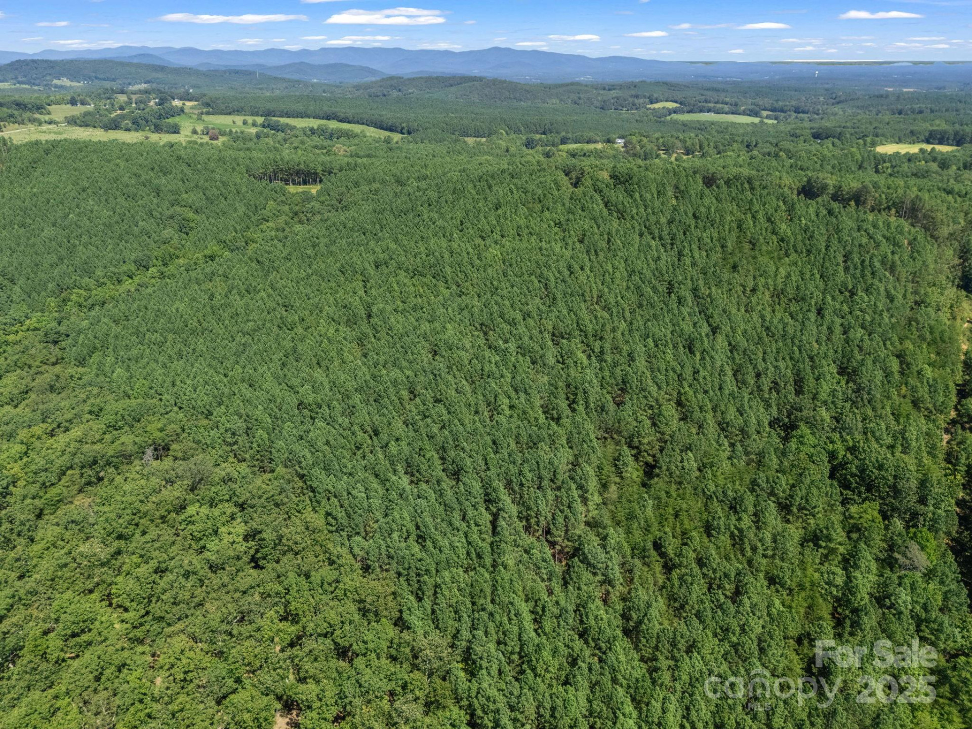 0 Moore Mountain Lane #6 - Photo 24