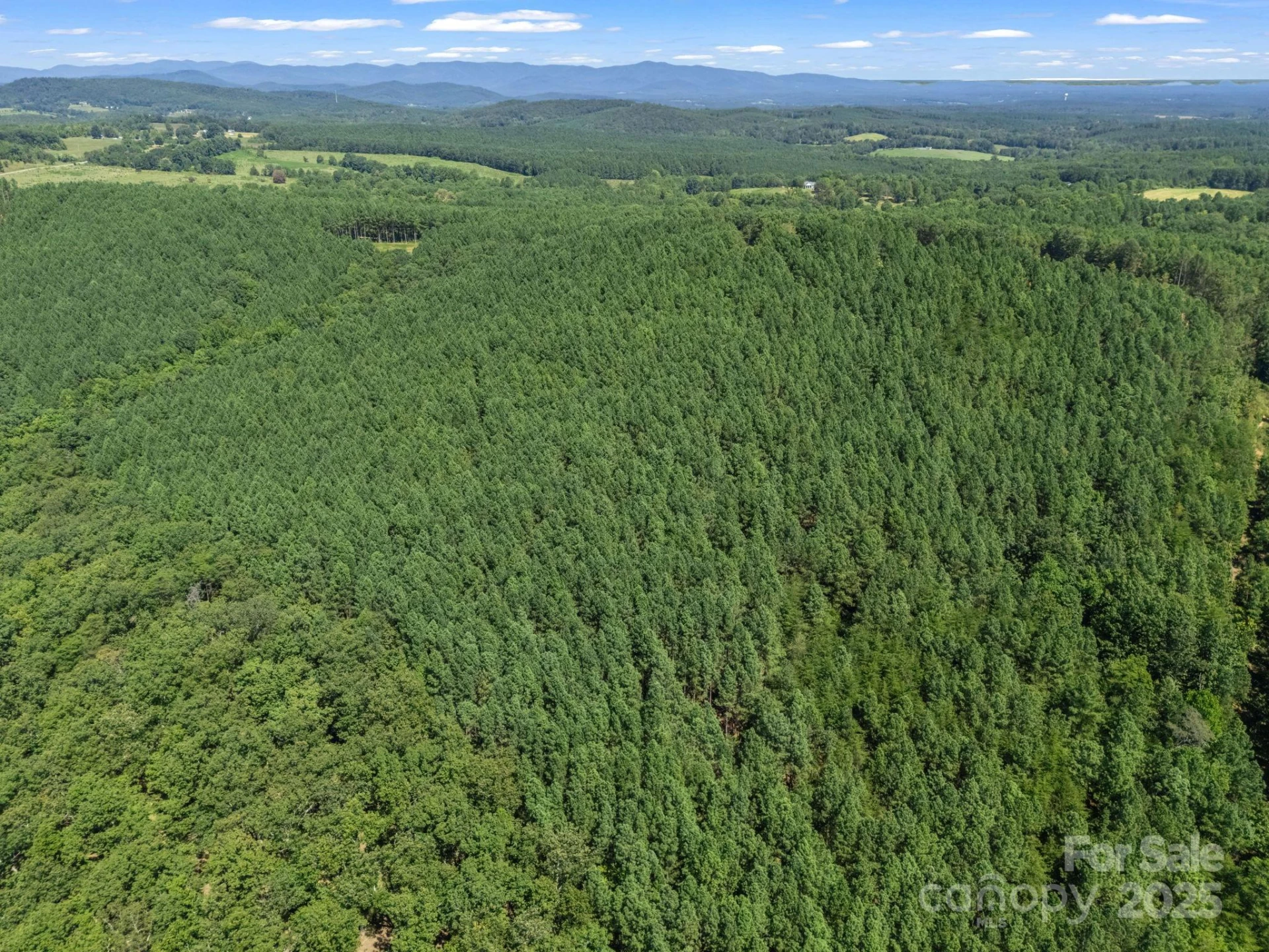 0 Moore Mountain Lane #6 - Photo 24