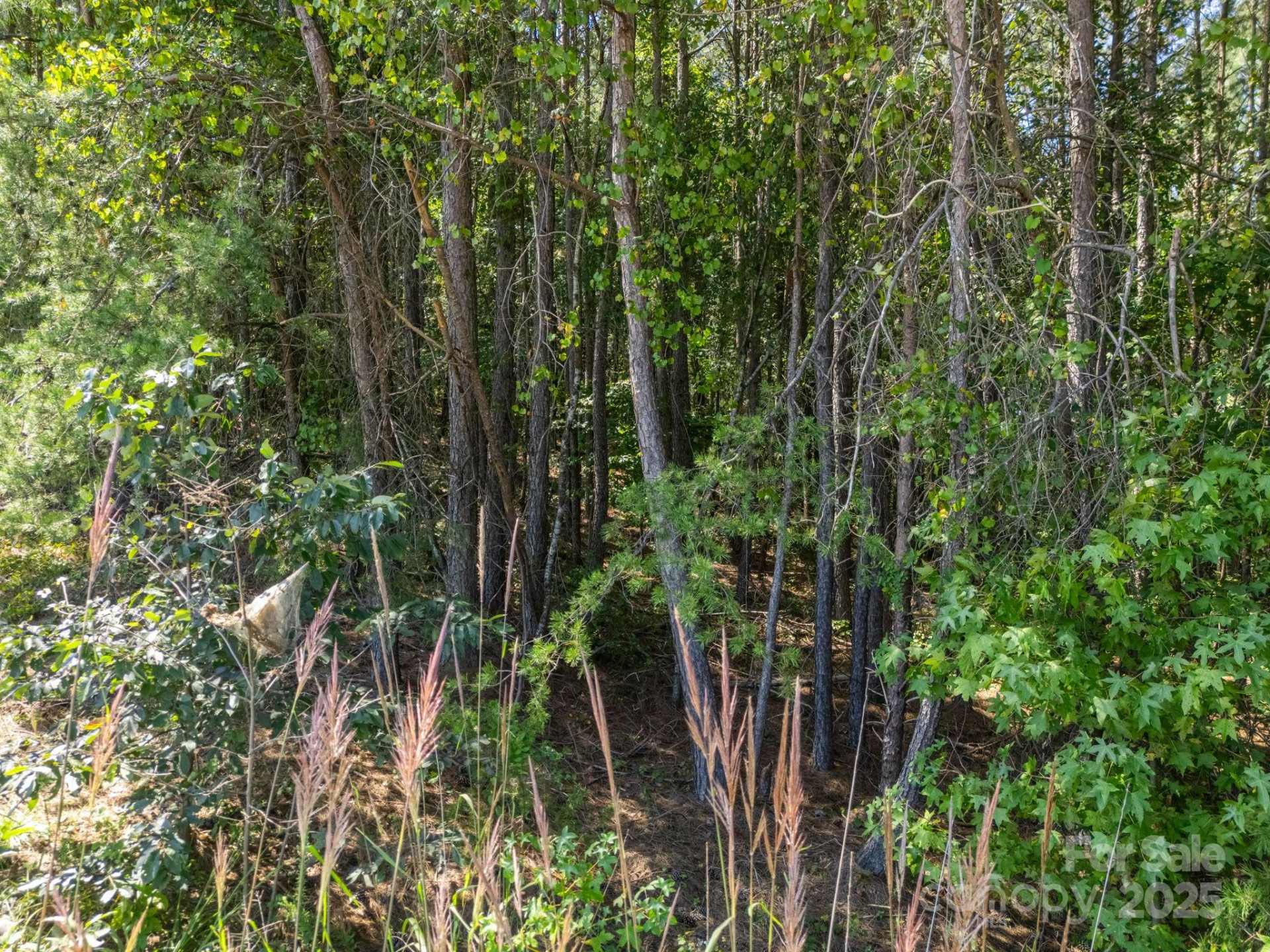 0 Moore Mountain Lane #6 - Photo 29