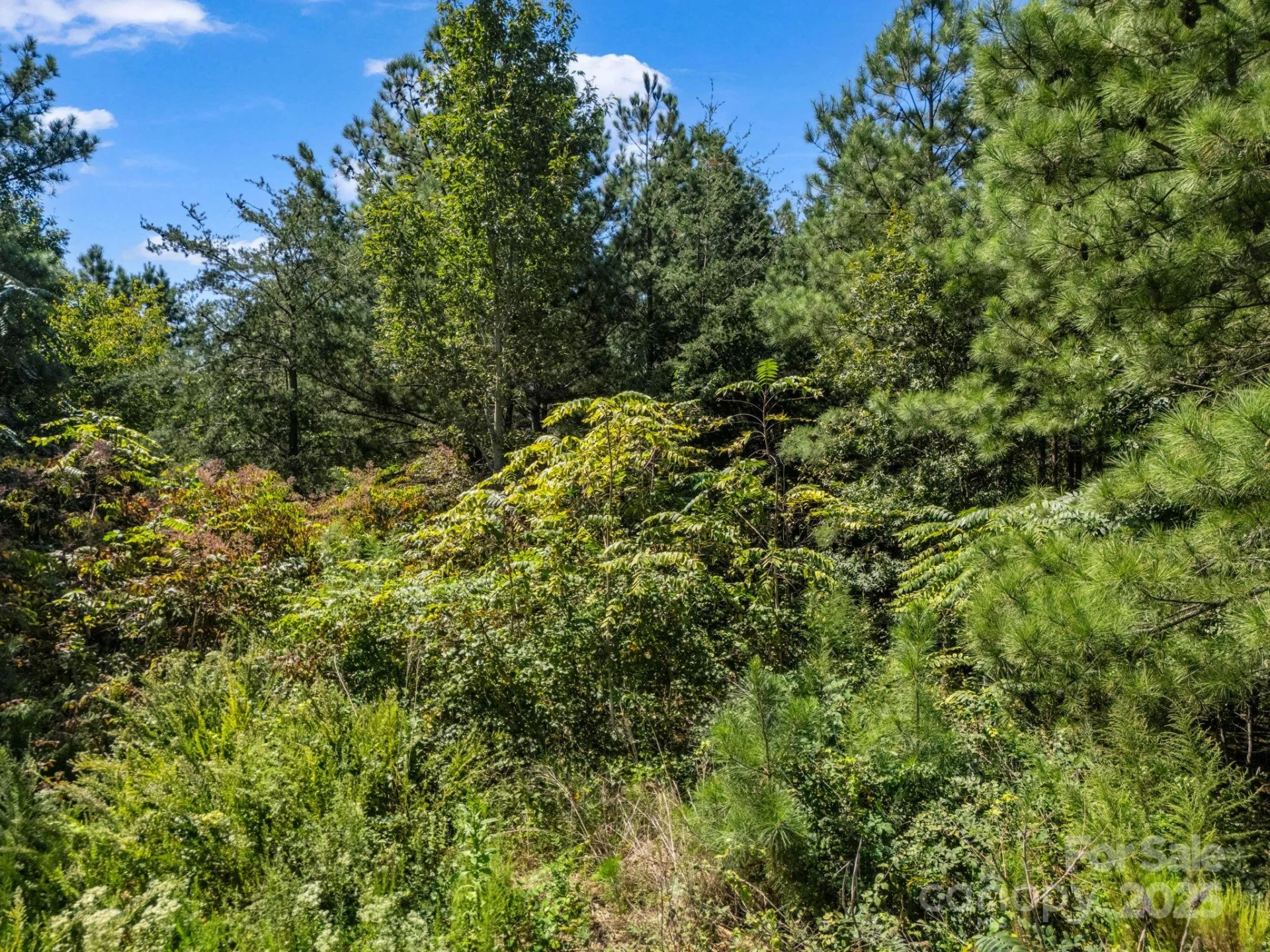 0 Moore Mountain Lane #6 - Photo 33