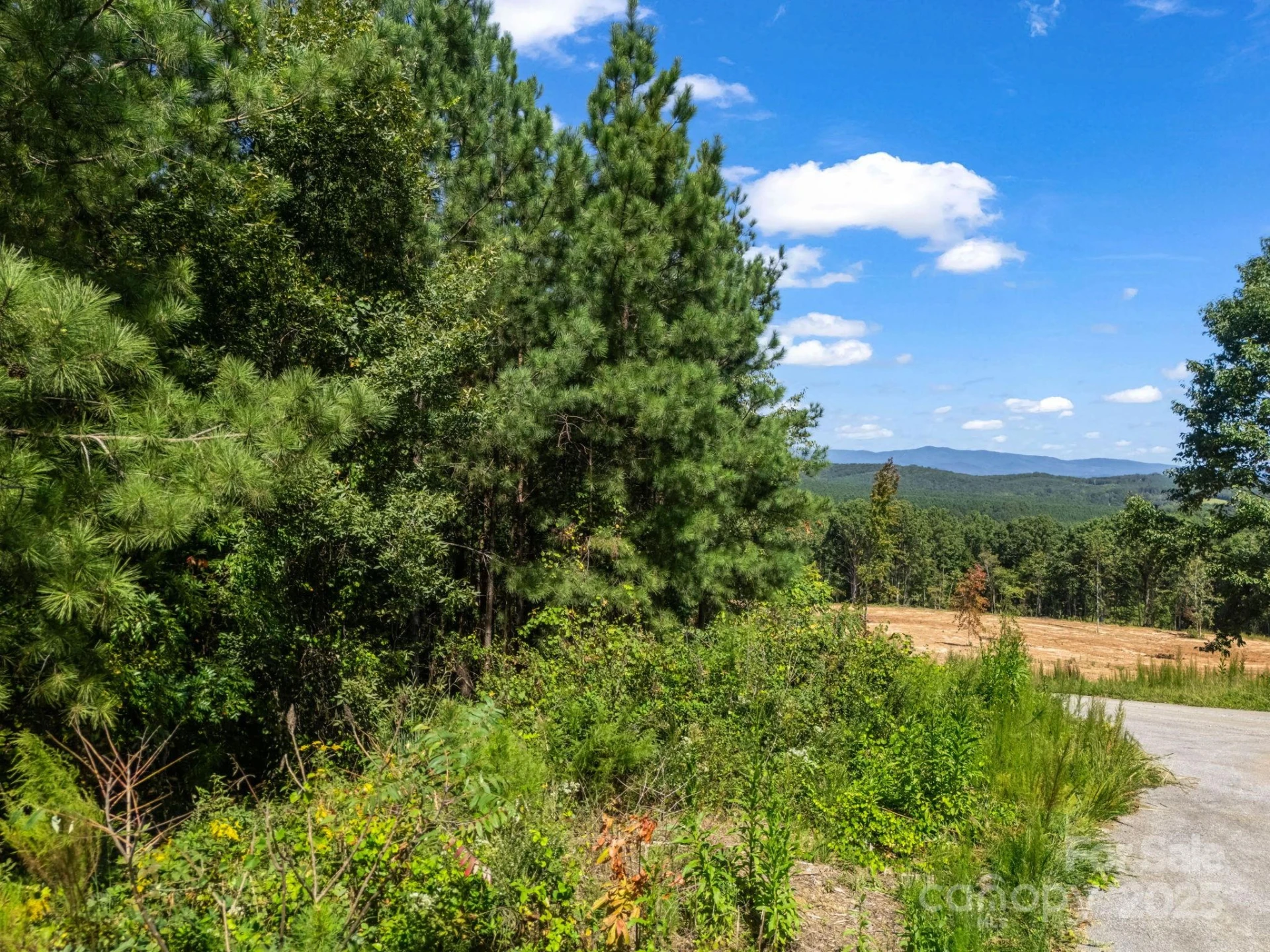 0 Moore Mountain Lane #6 - Photo 34