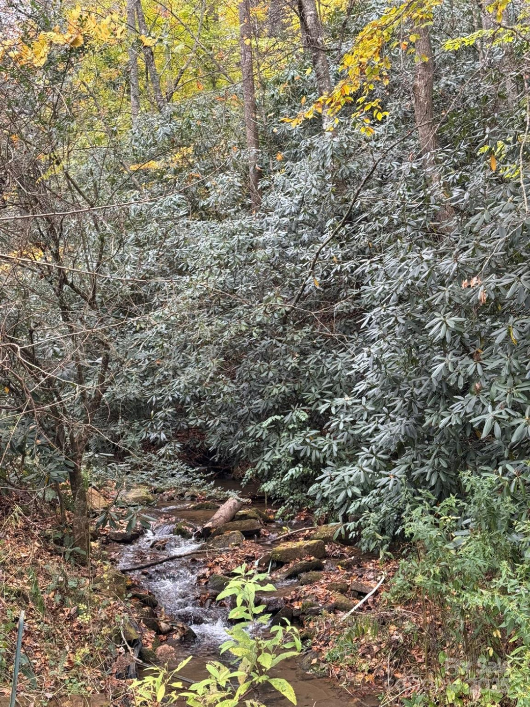 00 Pumpkintown Road - Photo 8