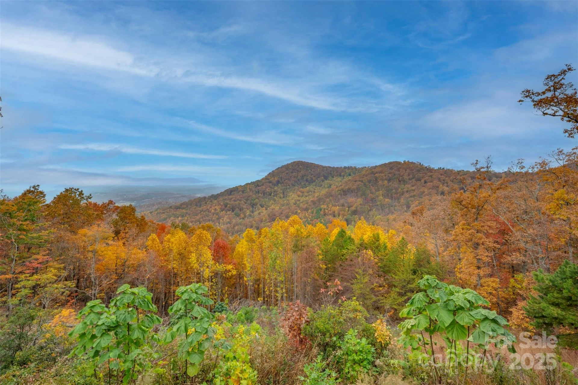 311 Mountain Lookout Drive - Photo 17
