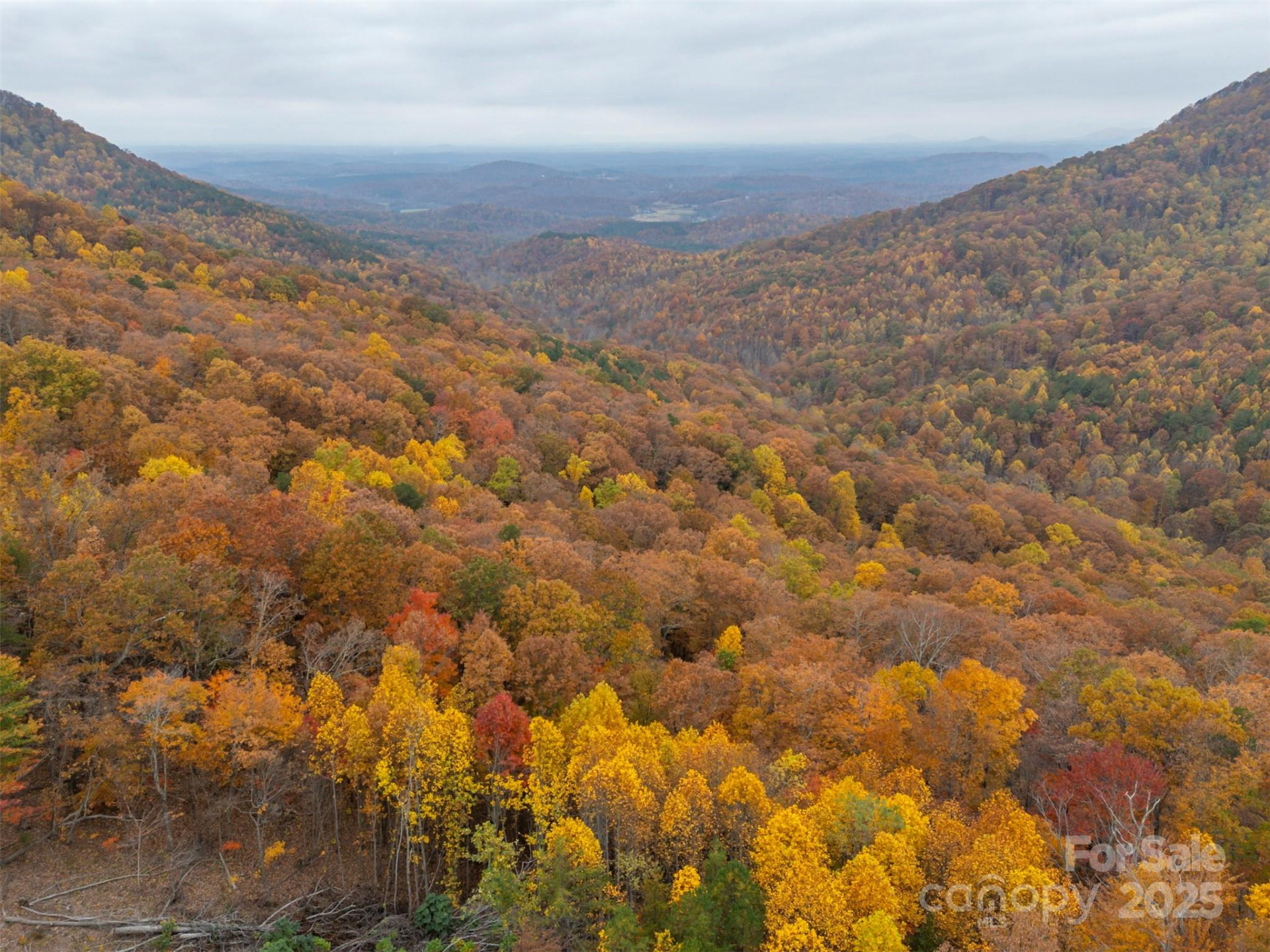 311 Mountain Lookout Drive - Photo 44