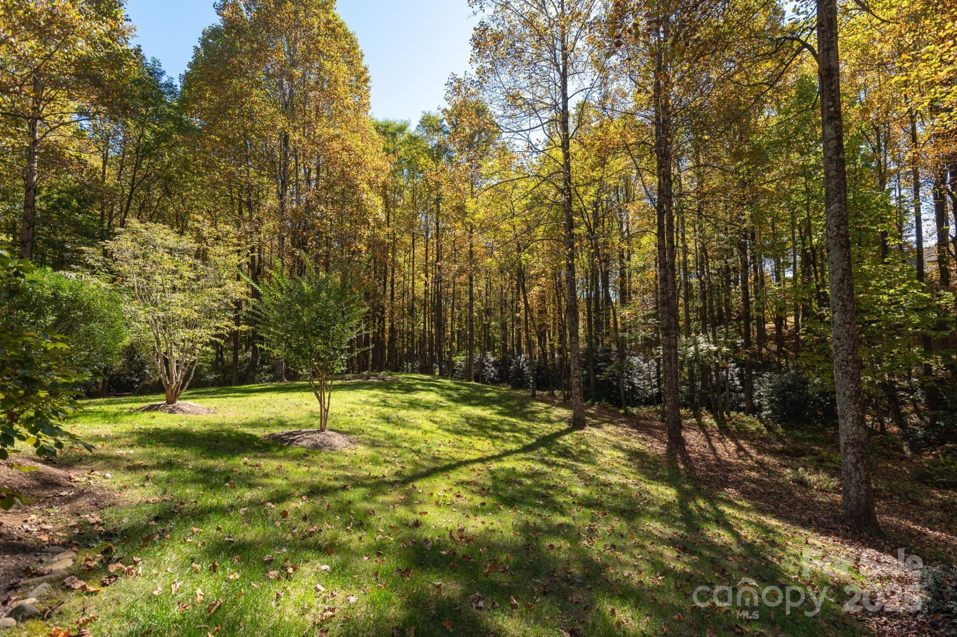 115 Chancery Court - Photo 39