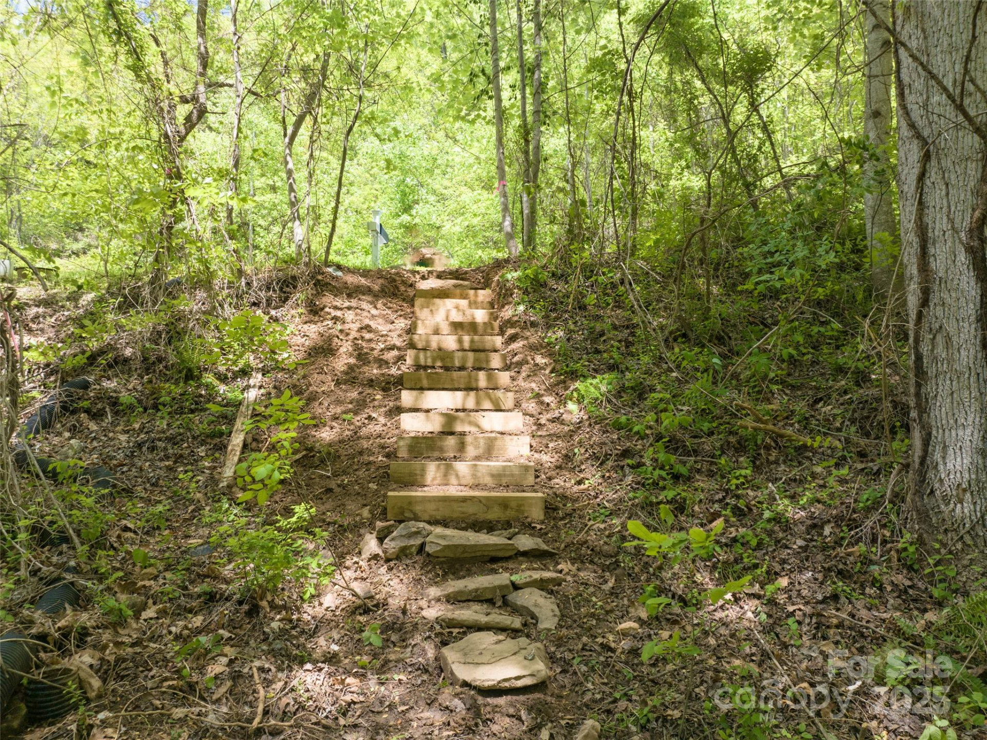 26 Fall Mountain Road #58 - Photo 11