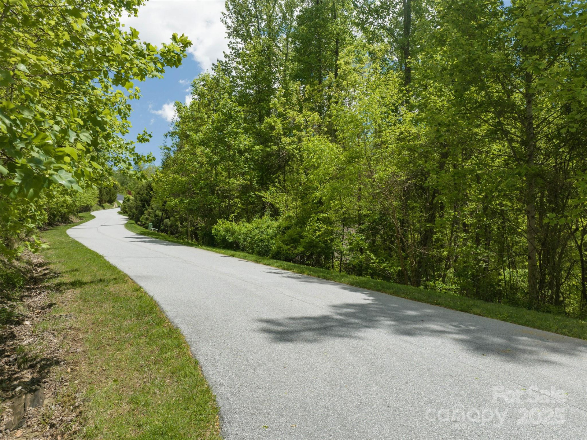 26 Fall Mountain Road #58 - Photo 12