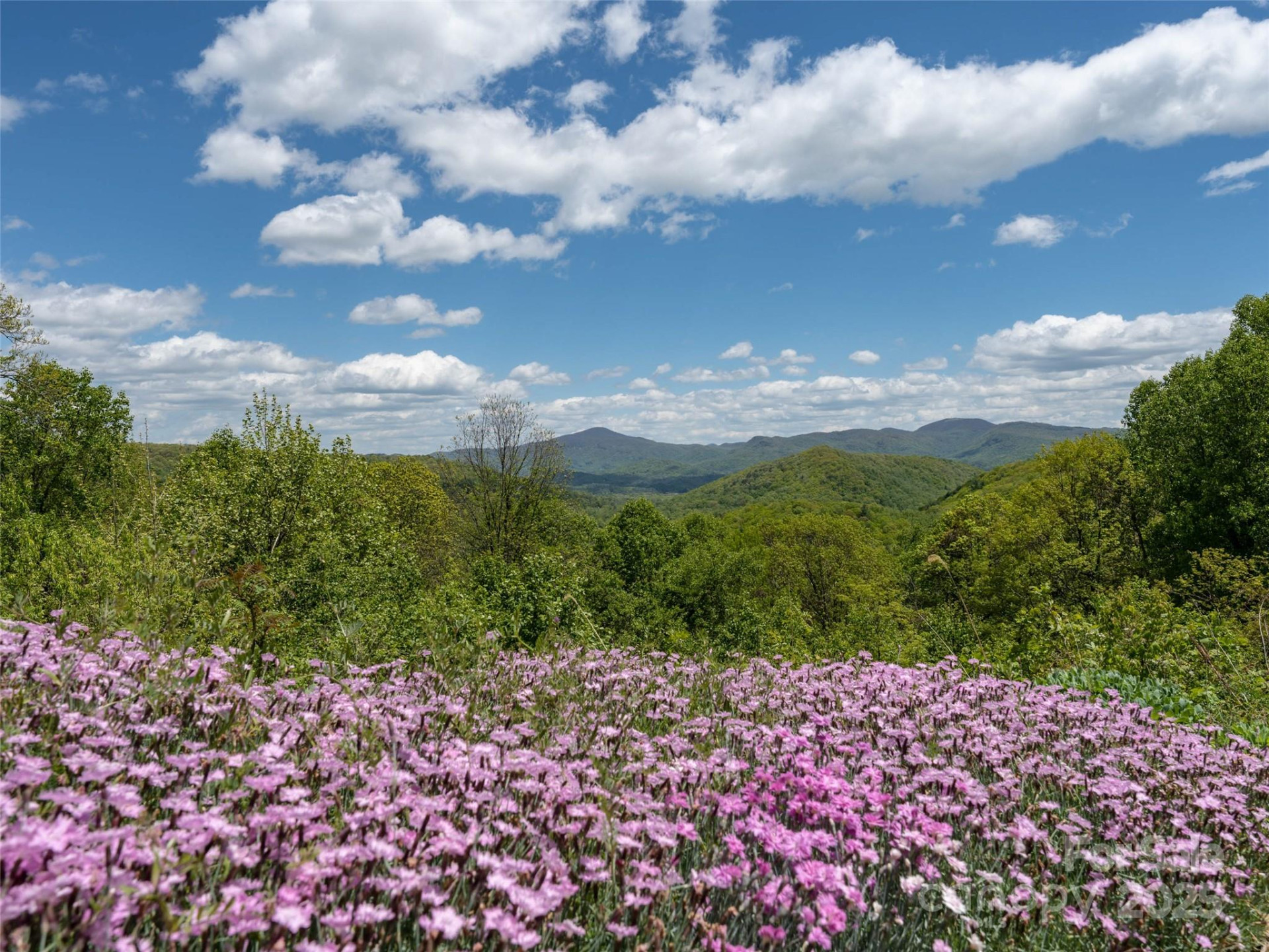 26 Fall Mountain Road #58 - Photo 18