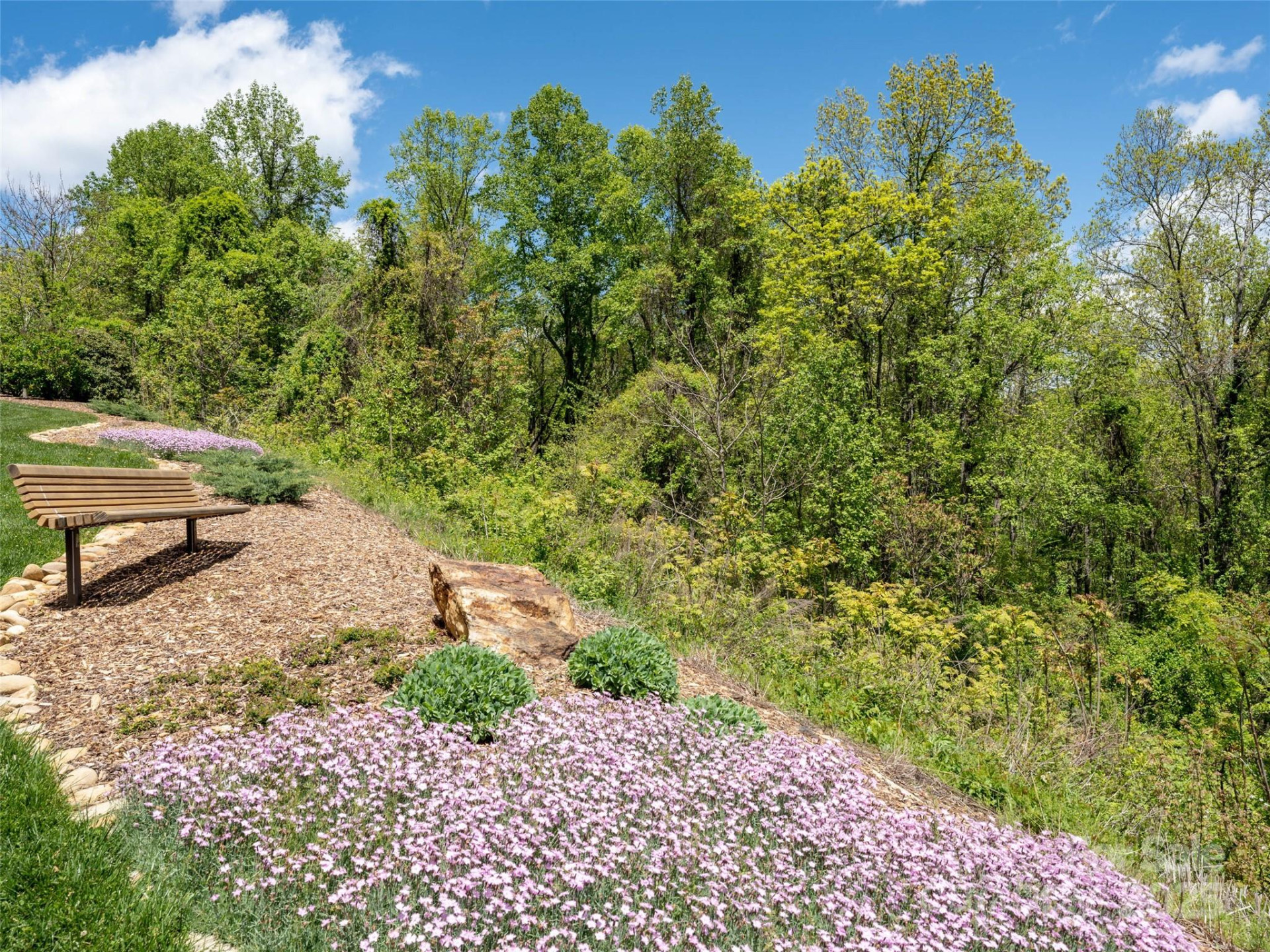 26 Fall Mountain Road #58 - Photo 19