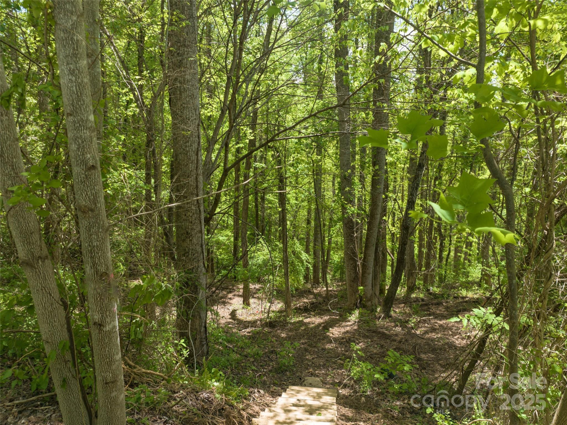 26 Fall Mountain Road #58 - Photo 4