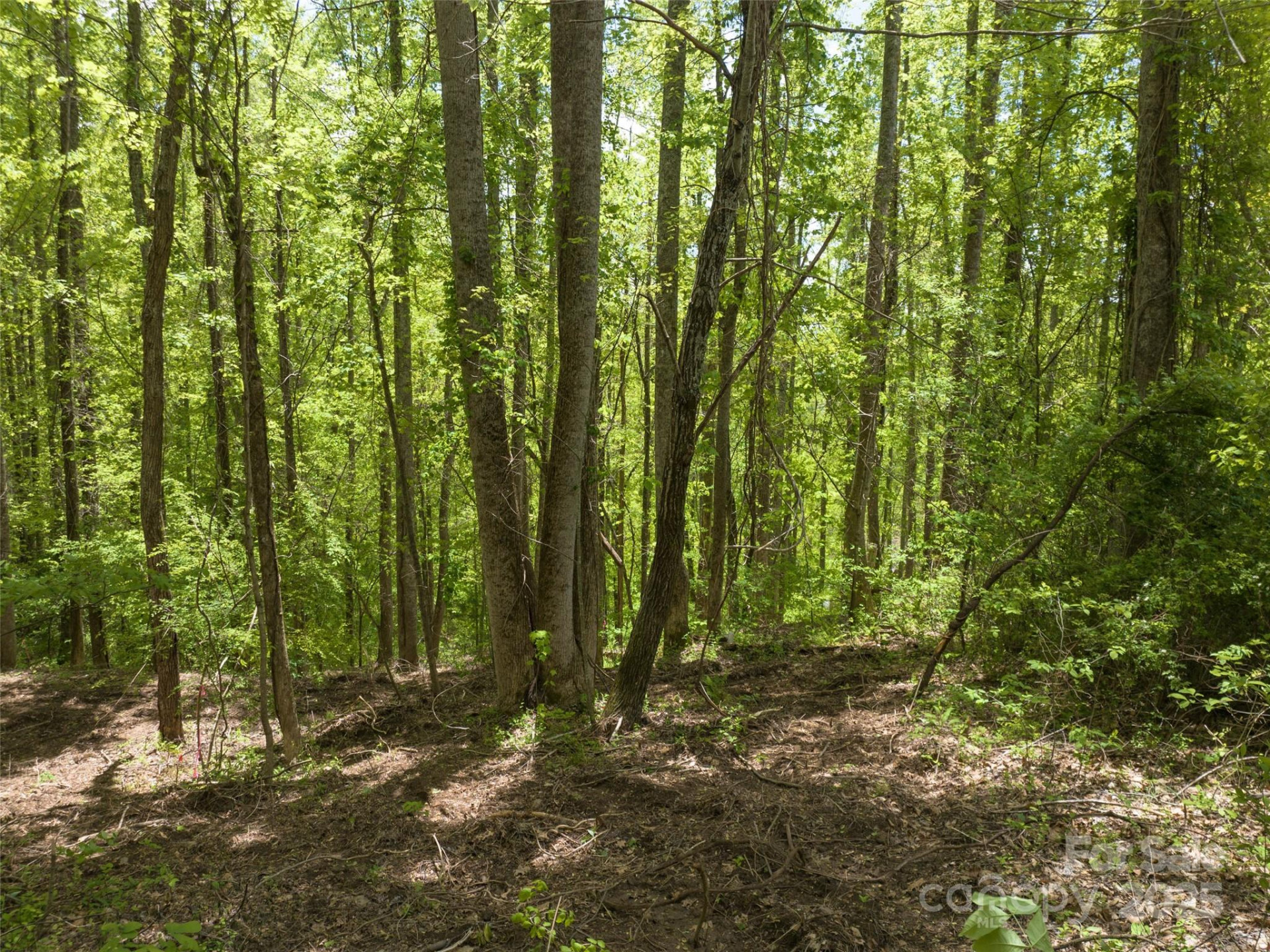 26 Fall Mountain Road #58 - Photo 5