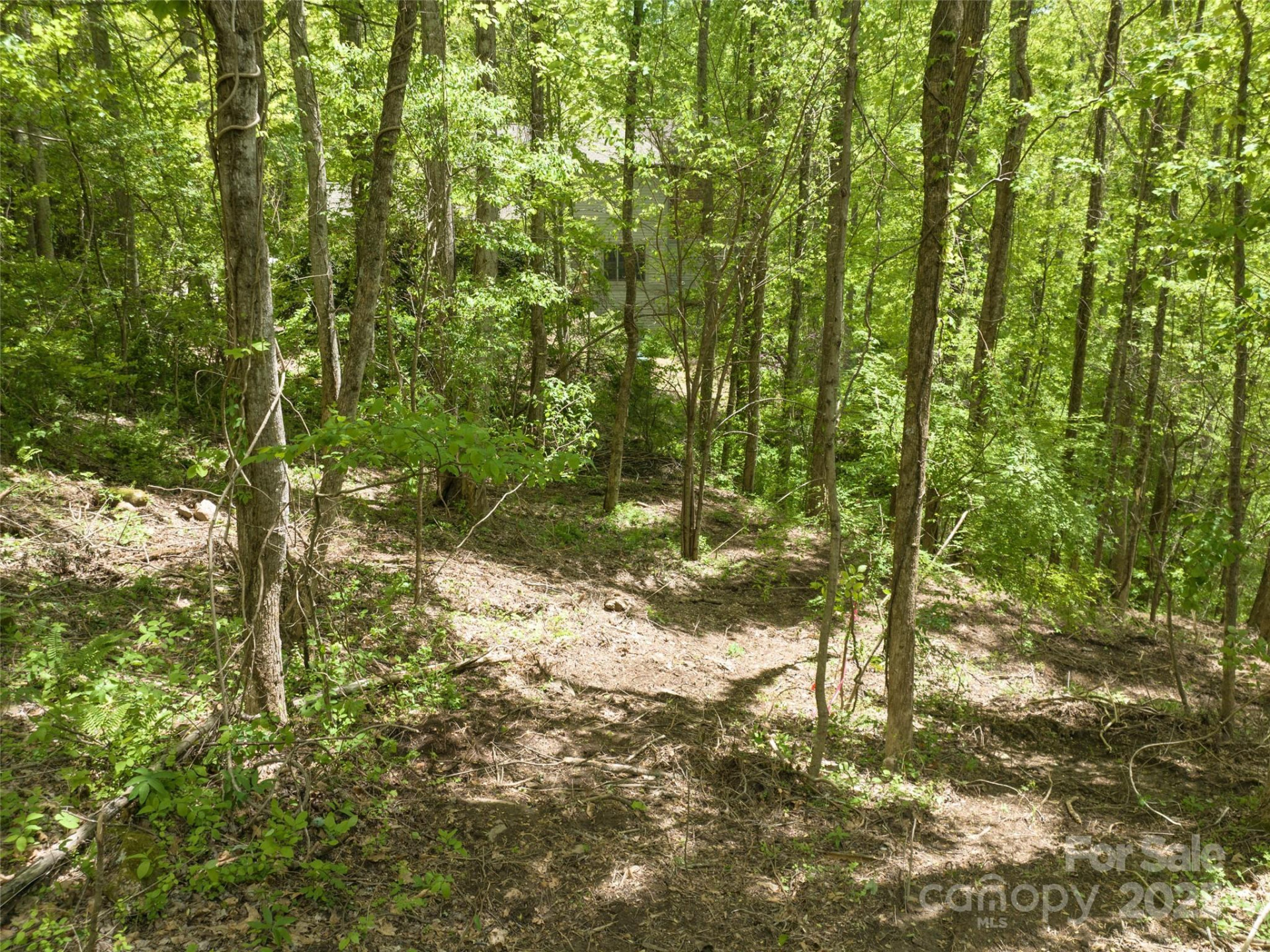 26 Fall Mountain Road #58 - Photo 6