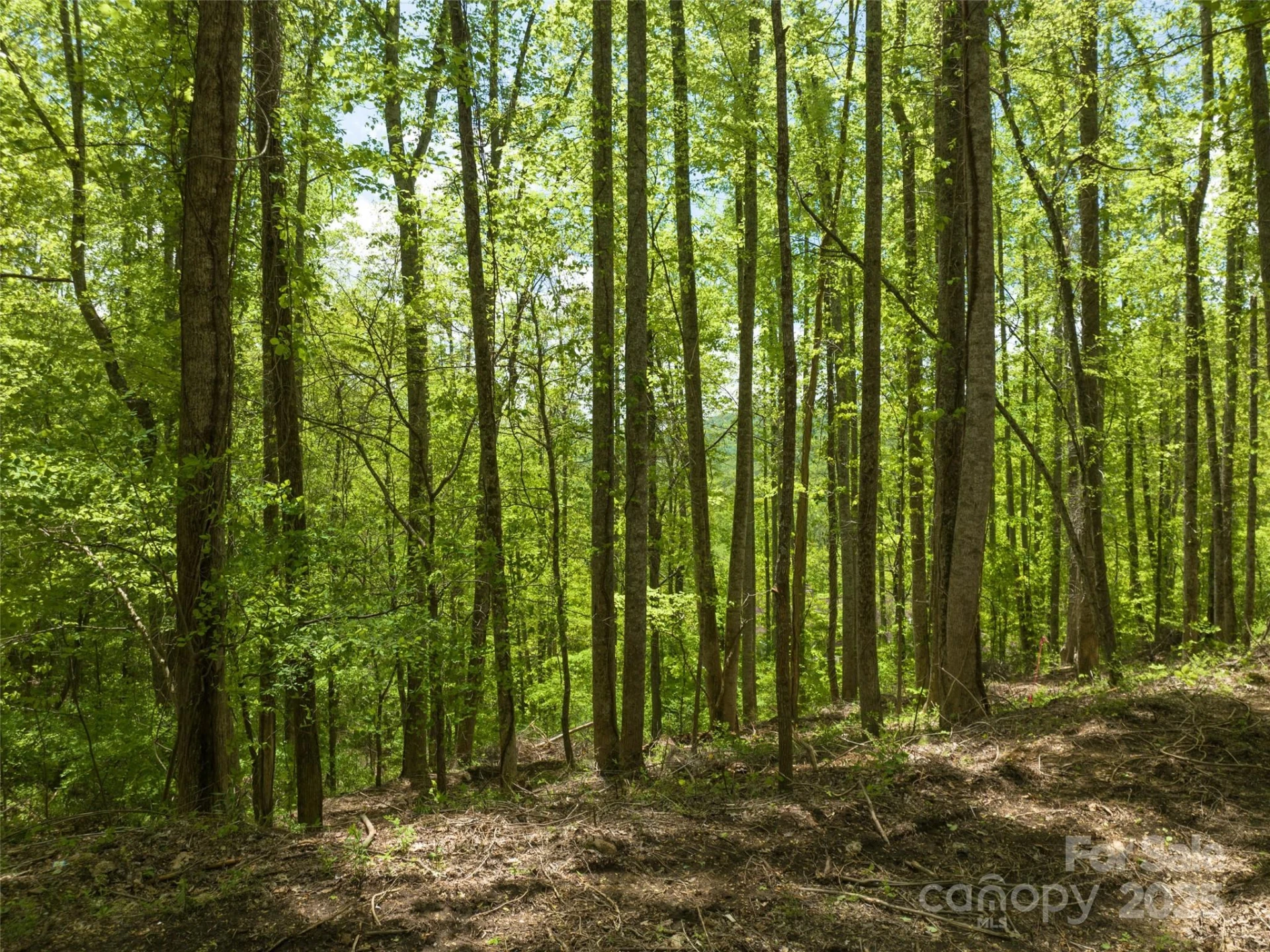 26 Fall Mountain Road #58 - Photo 8