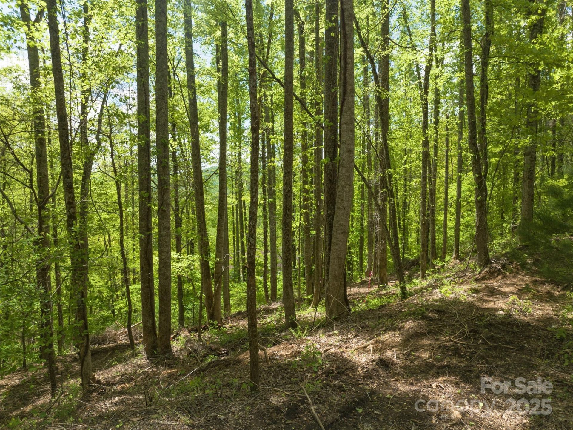 26 Fall Mountain Road #58 - Photo 9