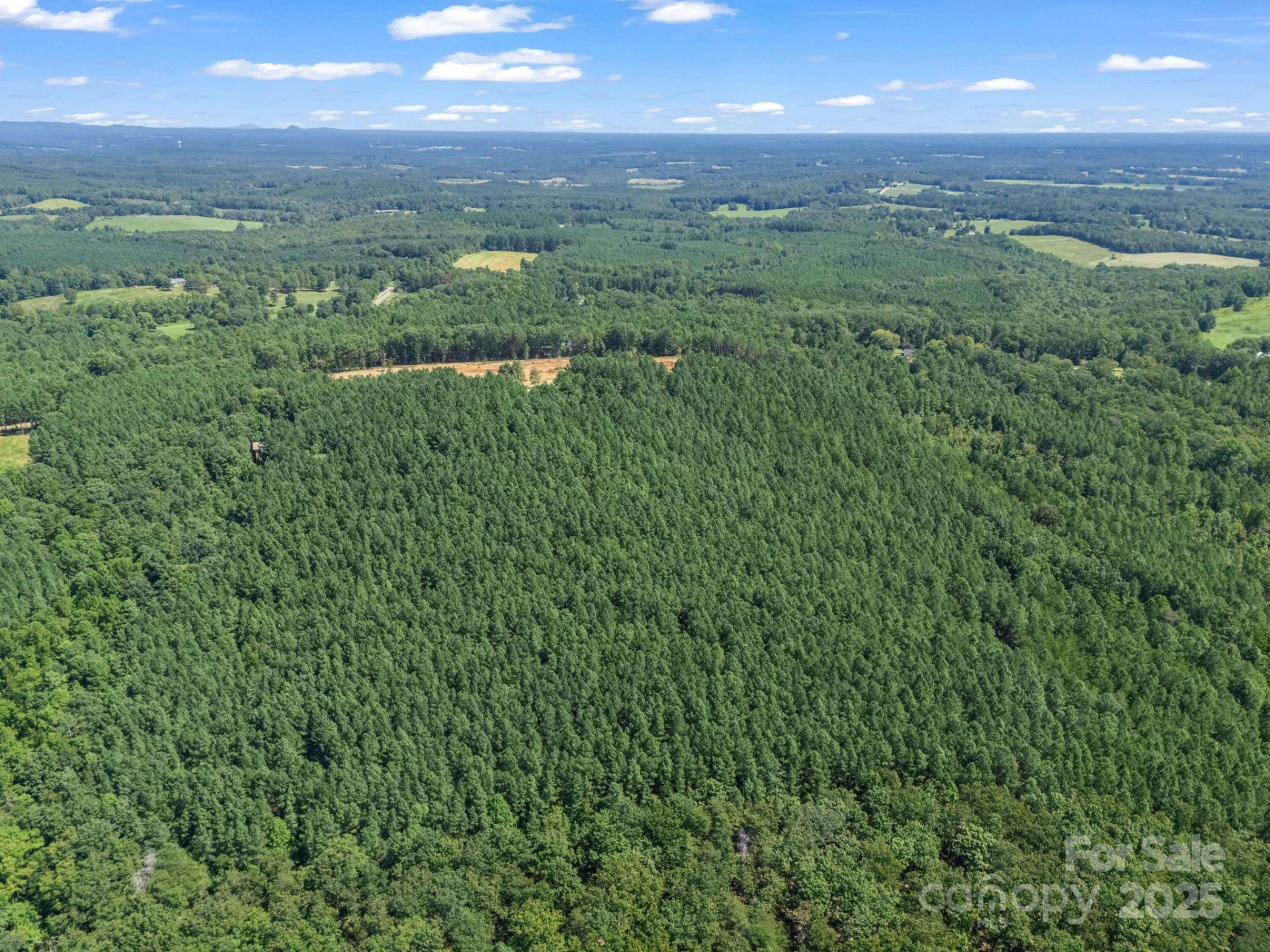0 Moore Mountain Lane #8 - Photo 11