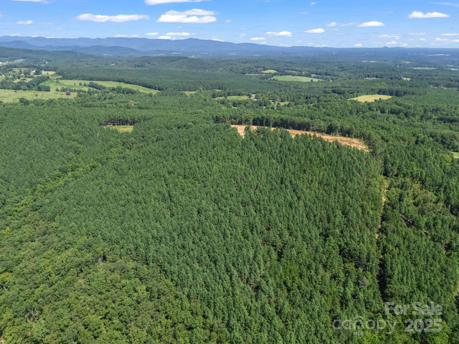 0 Moore Mountain Lane #8 - Photo 12