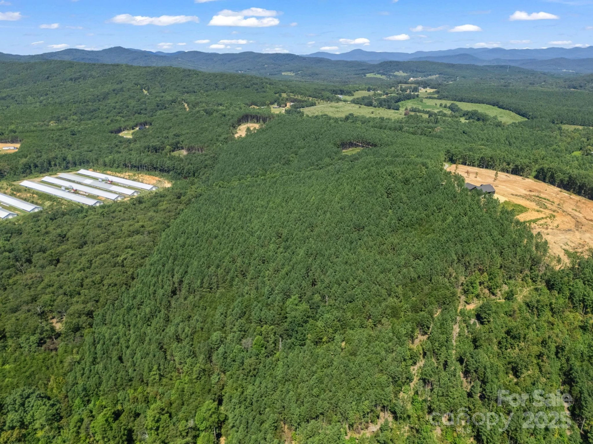 0 Moore Mountain Lane #8 - Photo 14