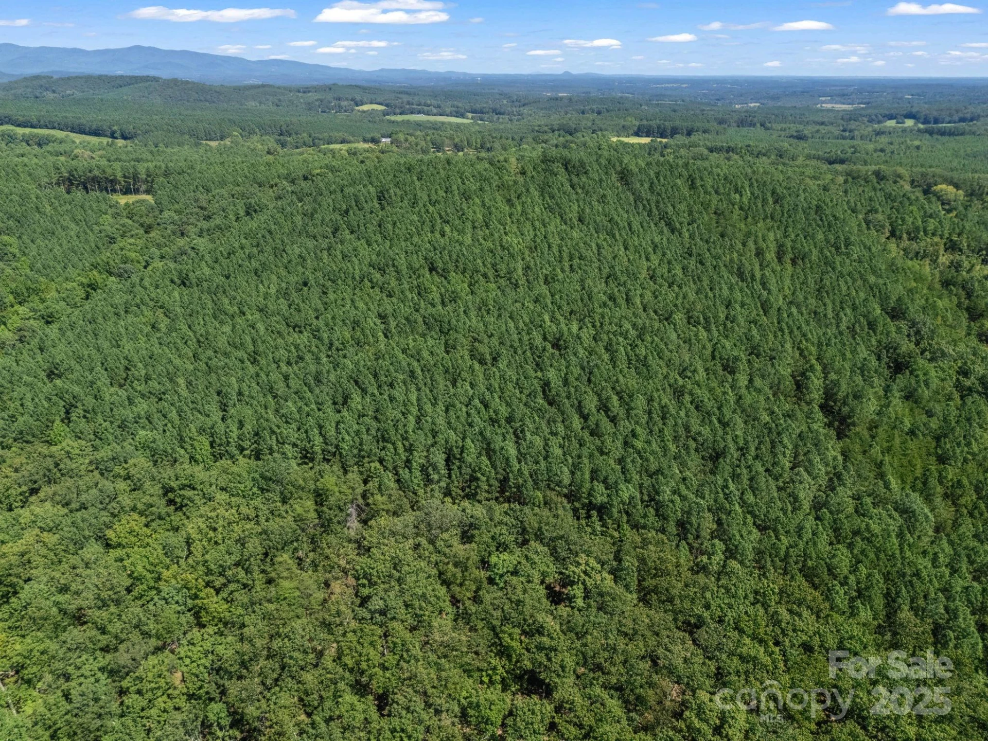 0 Moore Mountain Lane #8 - Photo 25