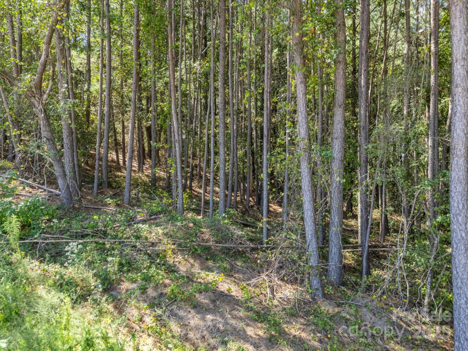 0 Moore Mountain Lane #8 - Photo 30