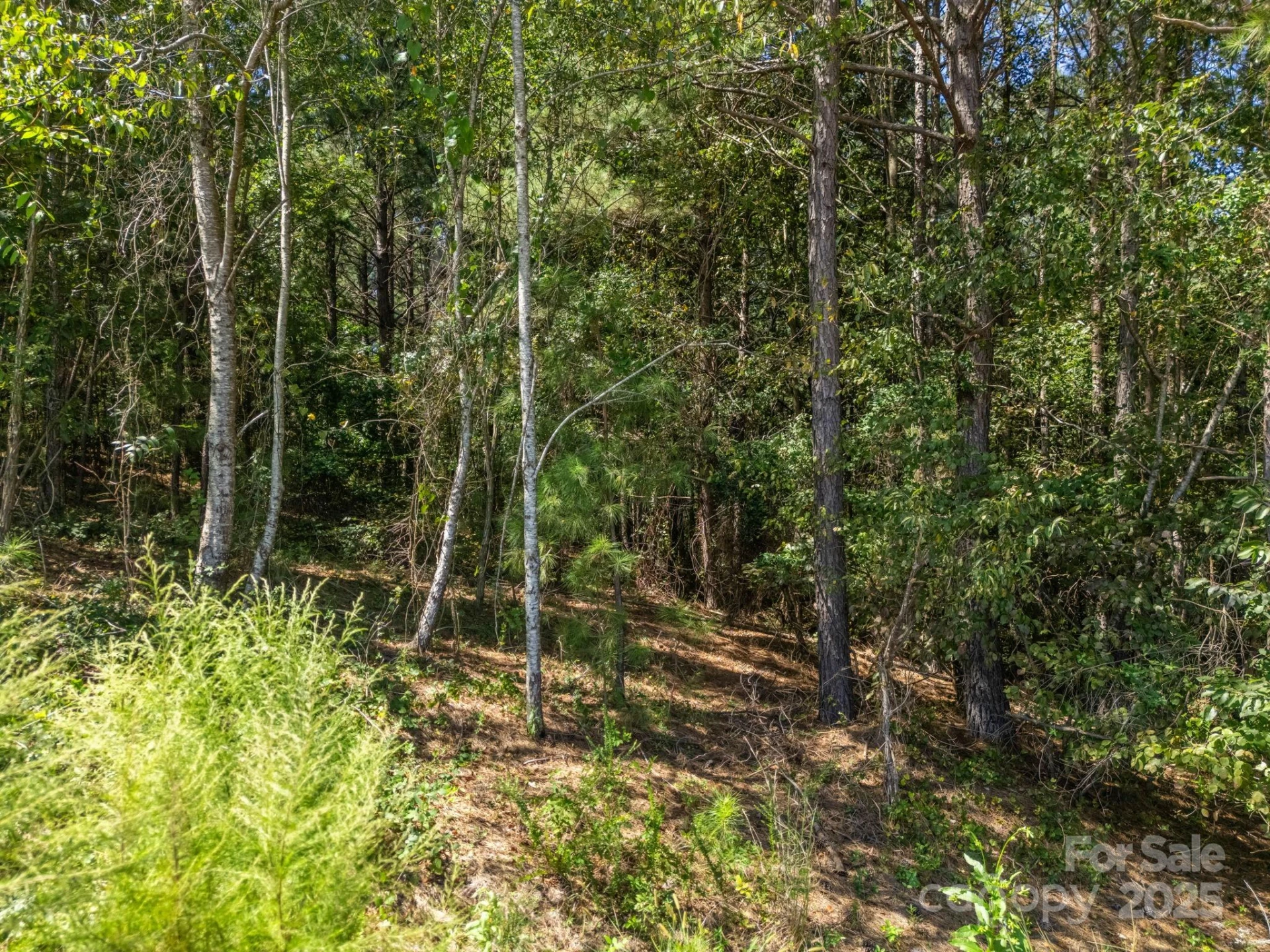 0 Moore Mountain Lane #8 - Photo 31