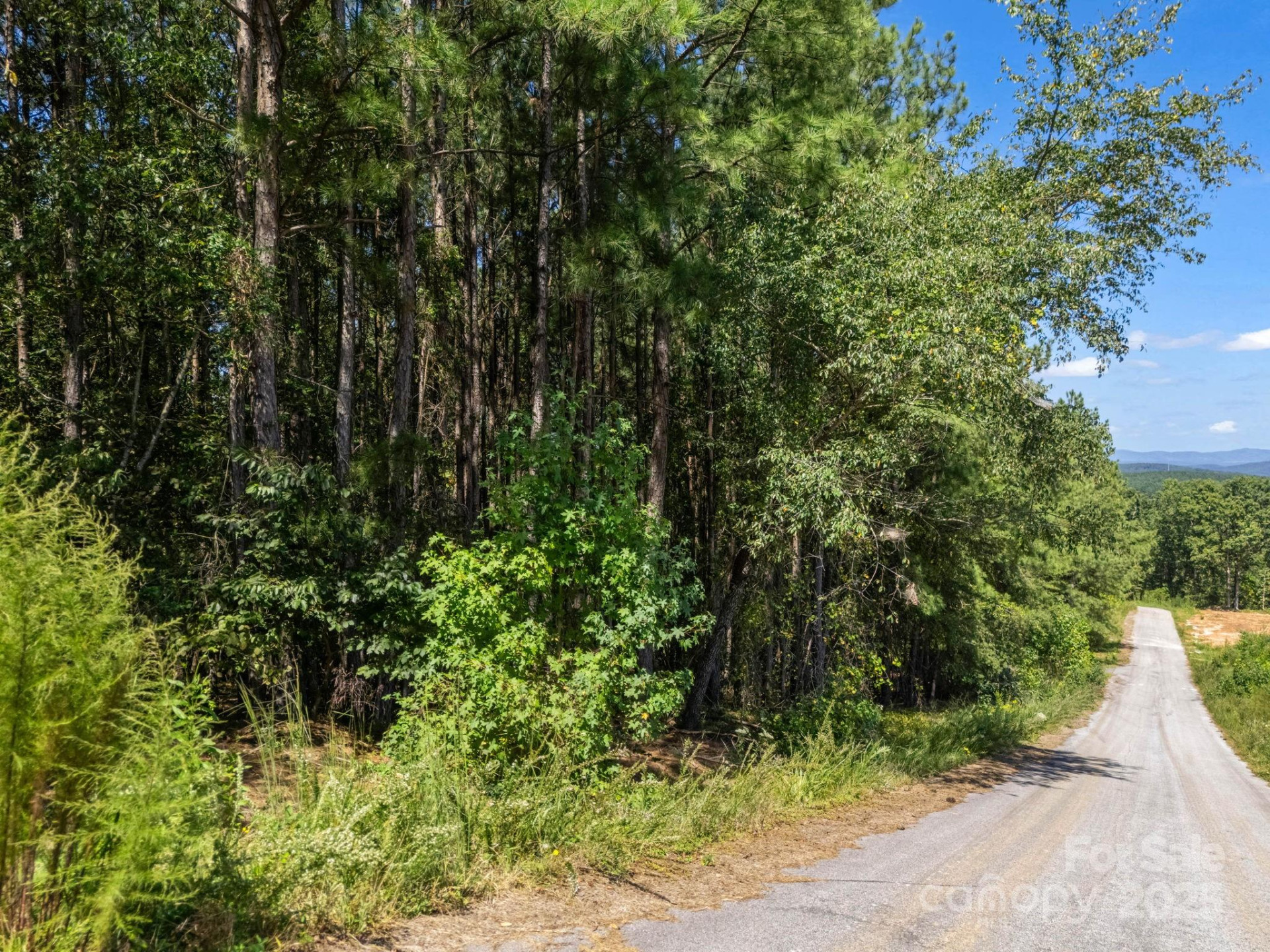 0 Moore Mountain Lane #8 - Photo 32