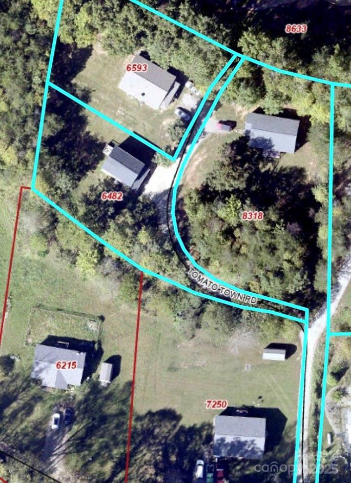 117 Tomato Town Road - Photo 6