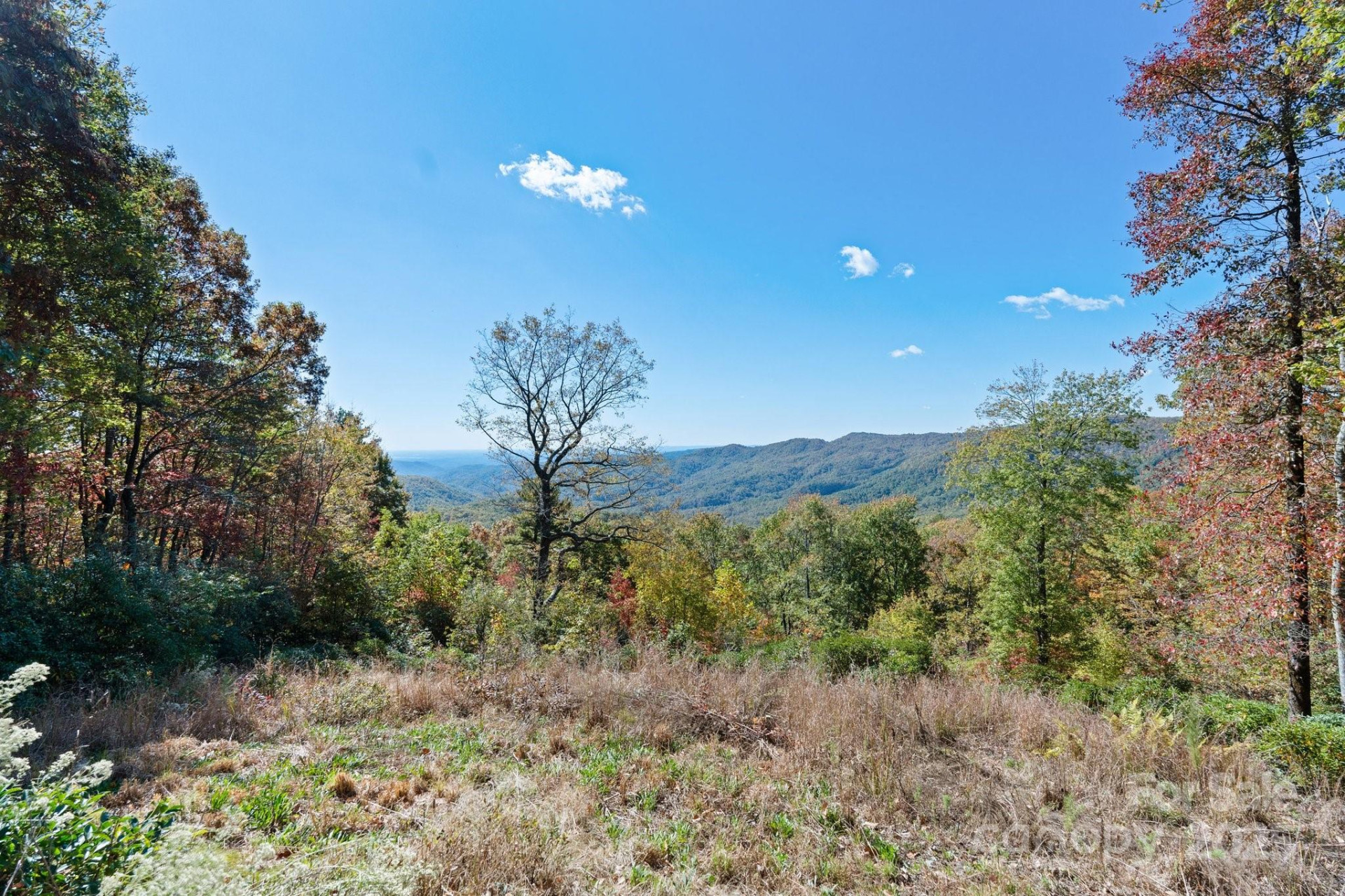 TBD Sassafras Ridge #36 - Photo 2